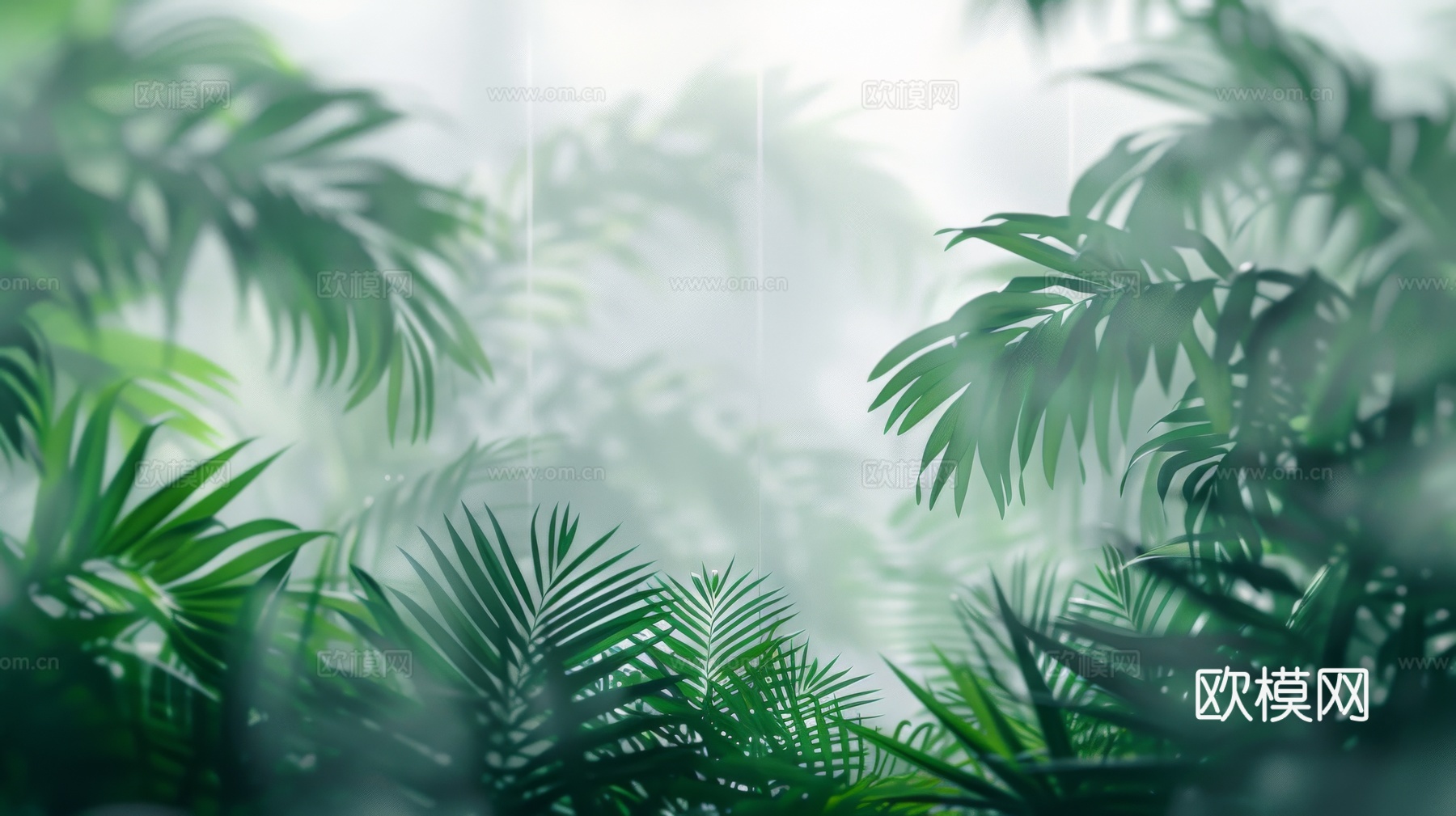 夹丝磨砂玻璃幕墙植物隔断