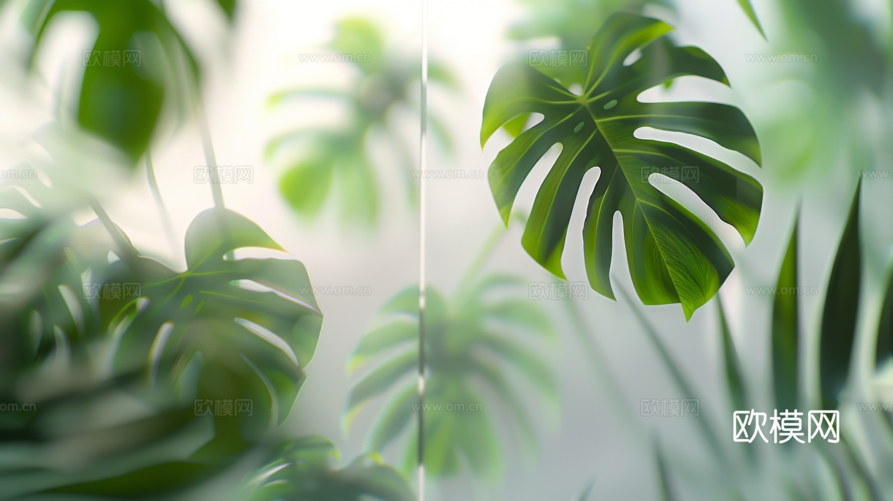 夹丝磨砂玻璃幕墙植物隔断