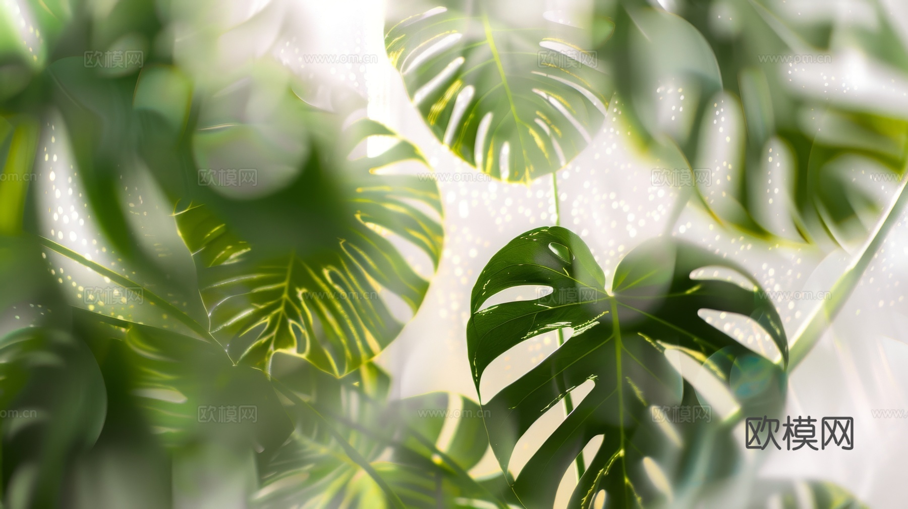 夹丝磨砂玻璃幕墙植物隔断