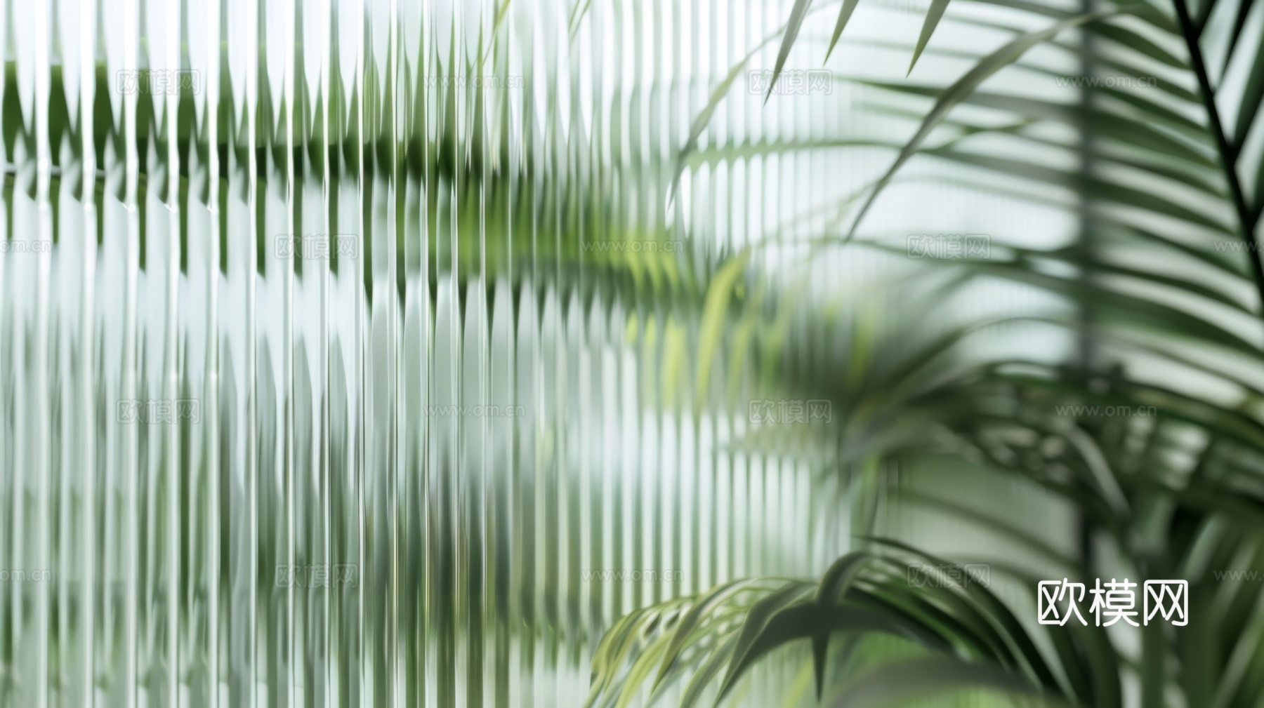 夹丝磨砂玻璃幕墙植物隔断下载（渲染图5）