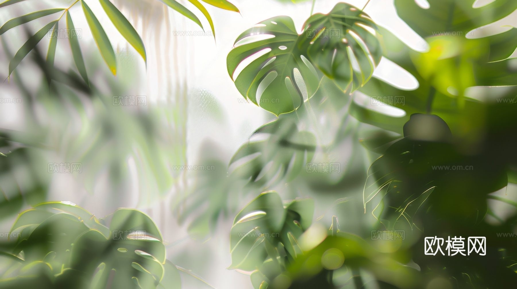 夹丝磨砂玻璃幕墙植物隔断