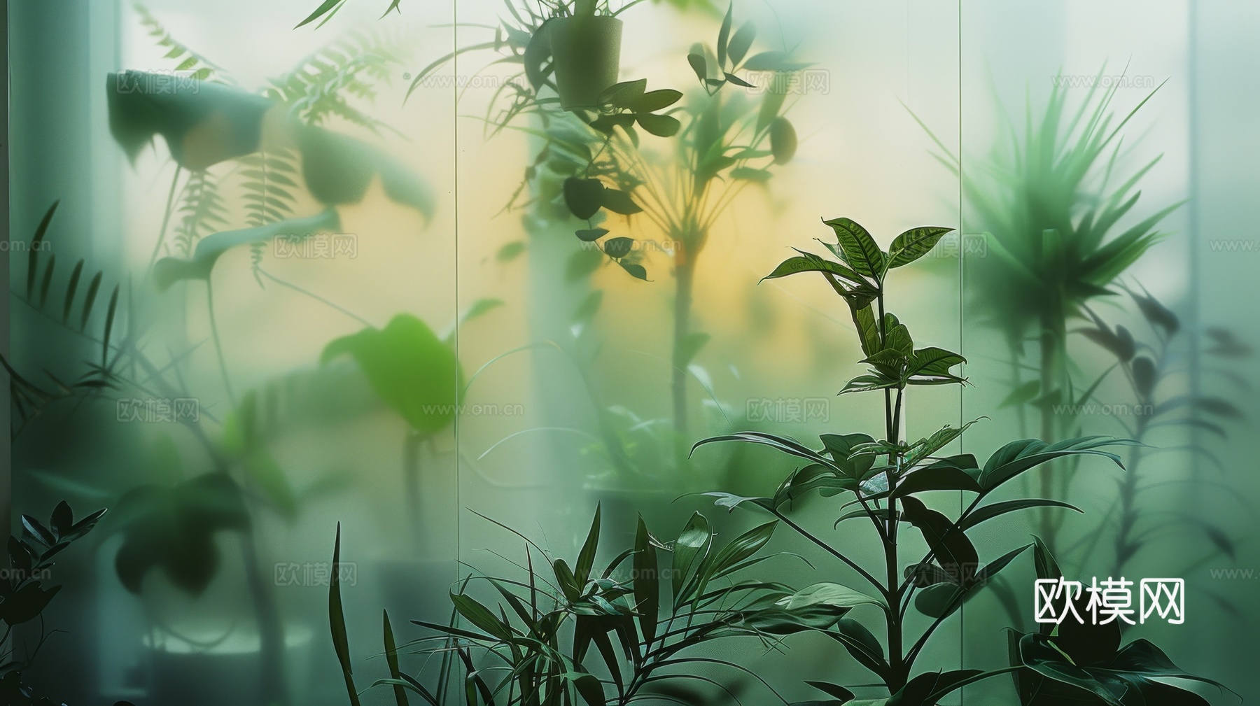 夹丝磨砂玻璃幕墙植物隔断