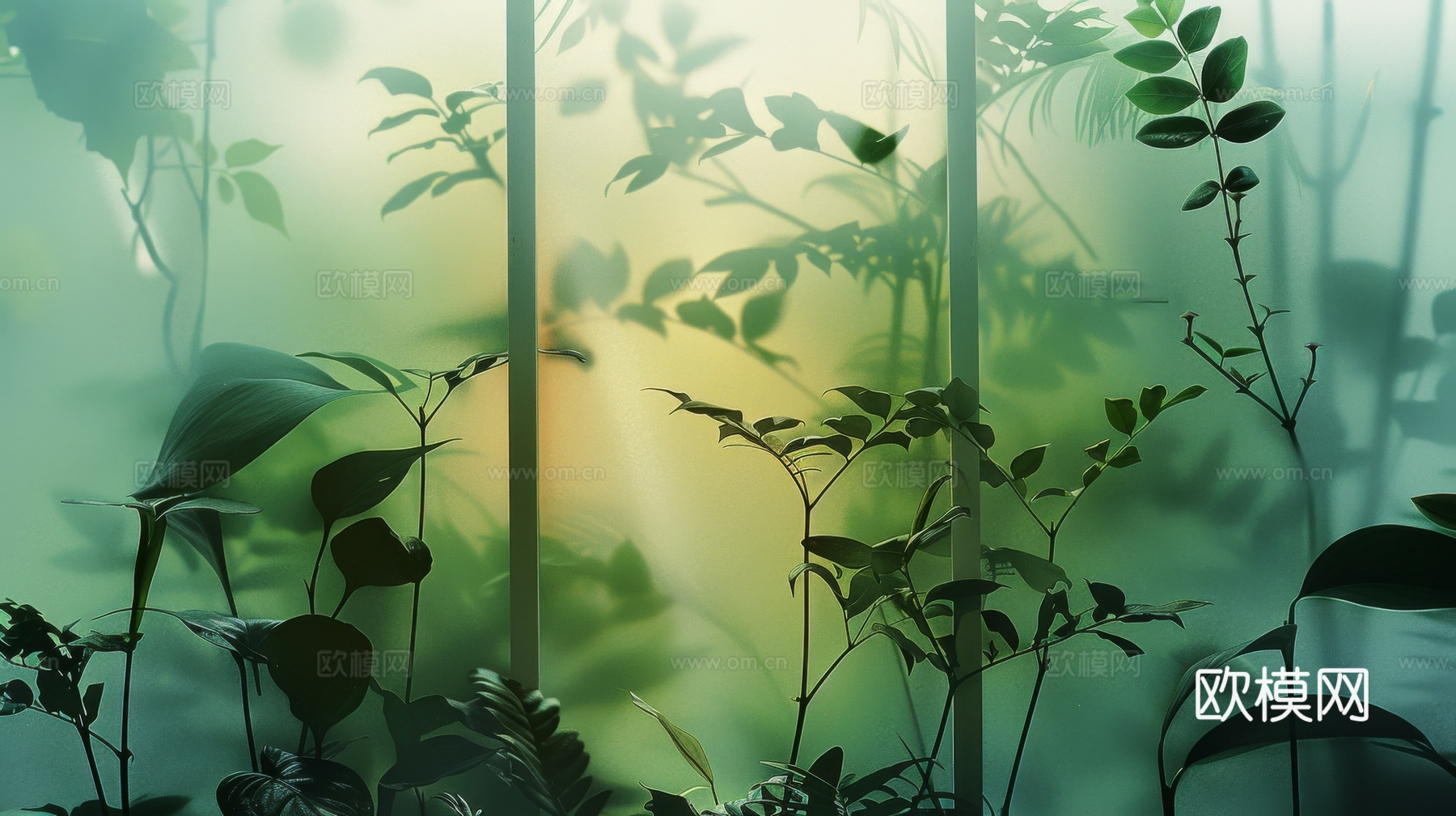 夹丝磨砂玻璃幕墙植物隔断