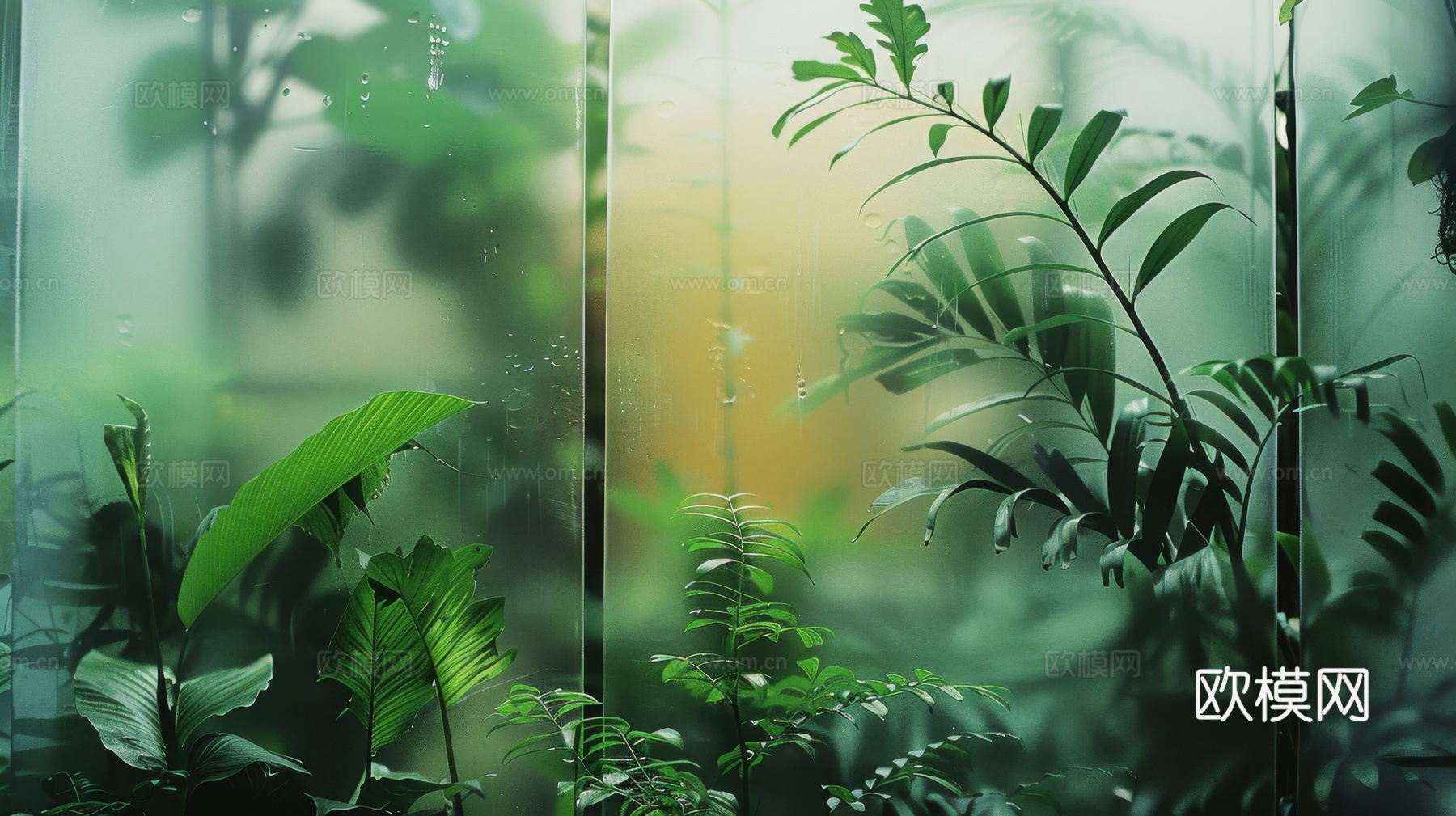 夹丝磨砂玻璃幕墙植物隔断下载（渲染图7）