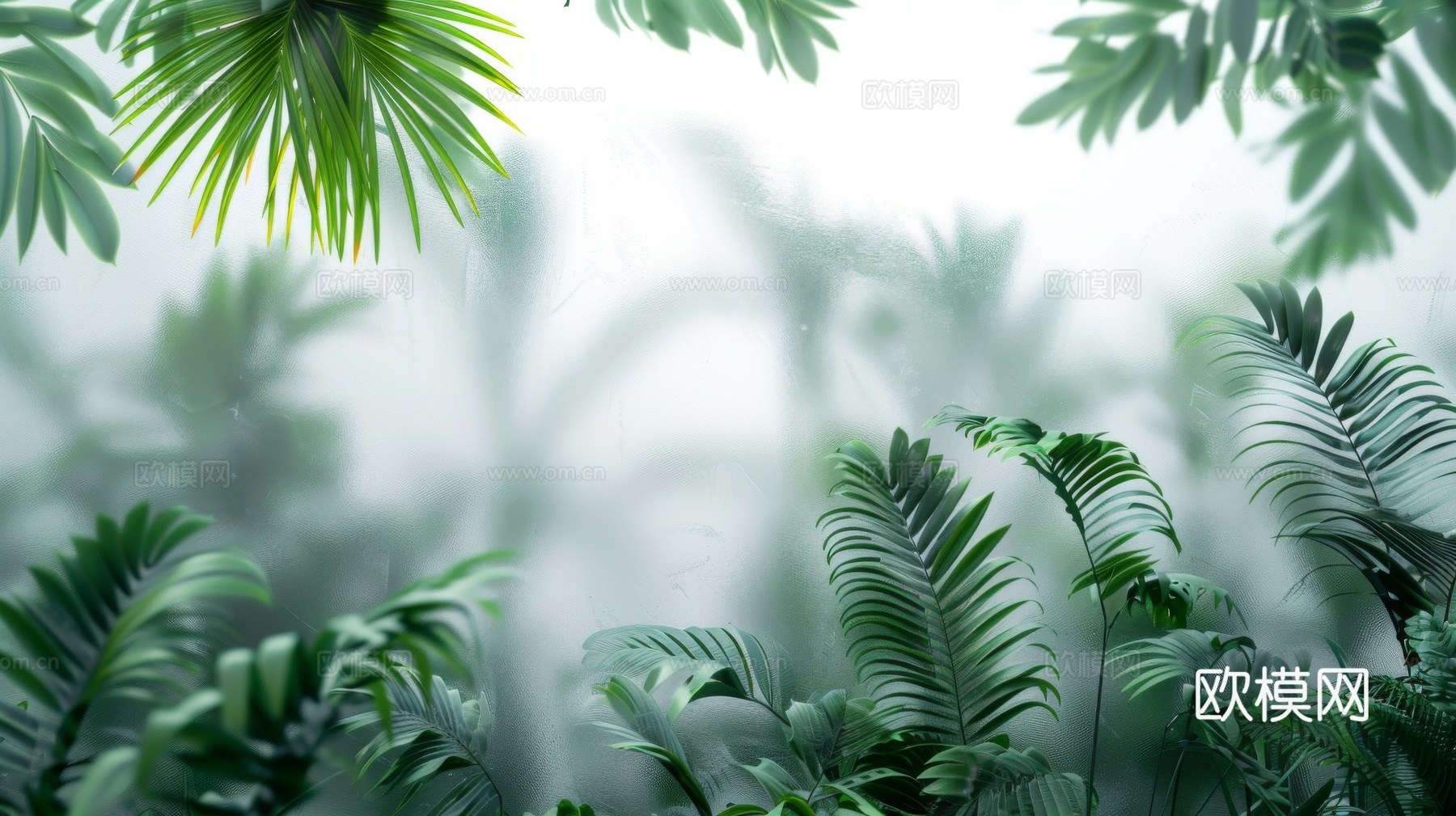 夹丝磨砂玻璃幕墙植物隔断下载（渲染图8）