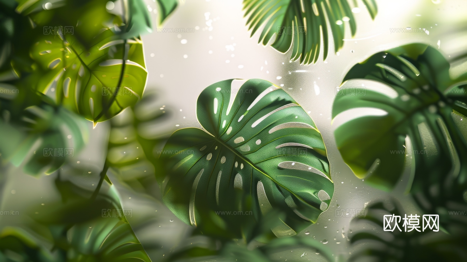 夹丝磨砂玻璃幕墙植物隔断