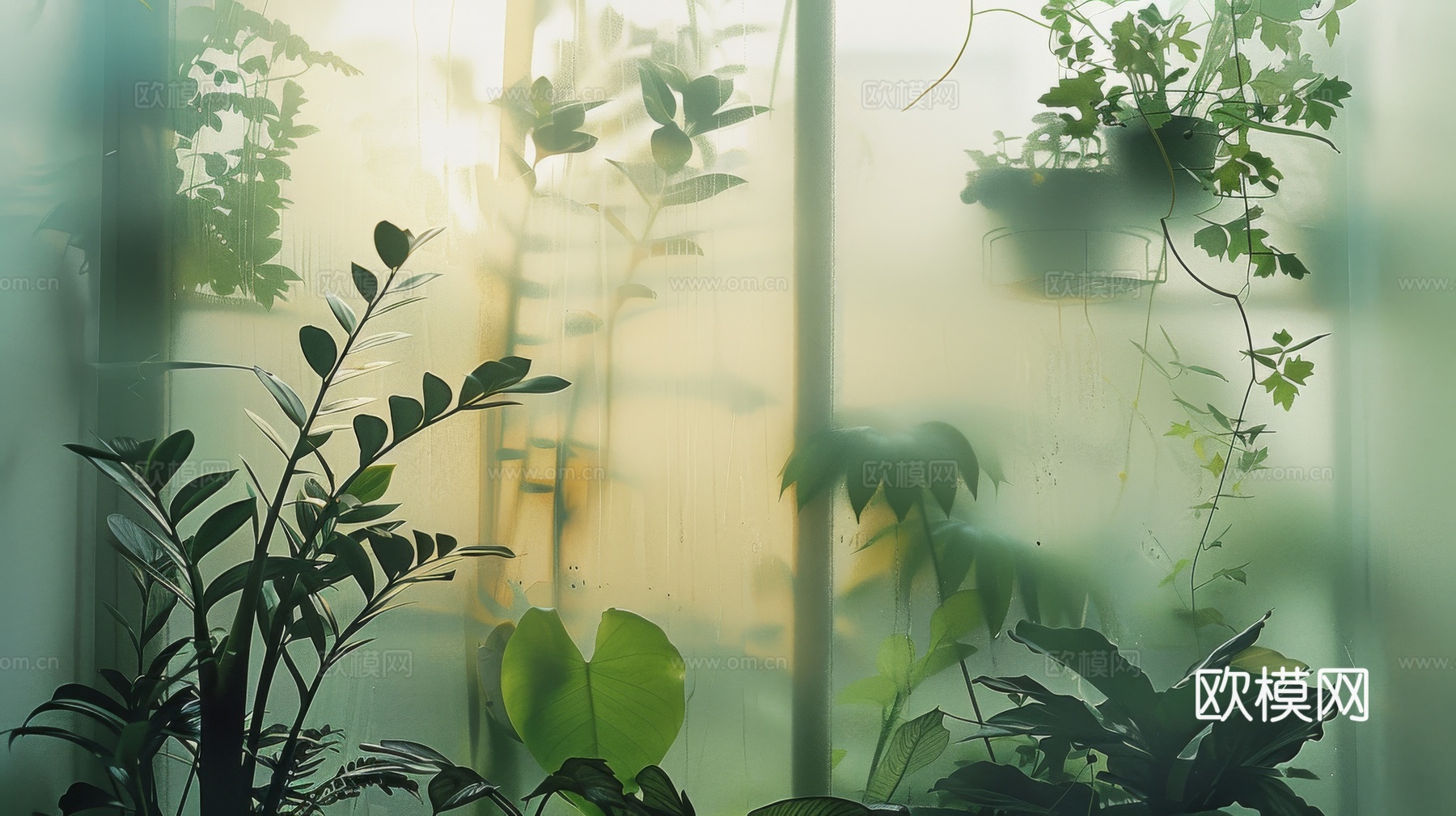 夹丝磨砂玻璃幕墙植物隔断