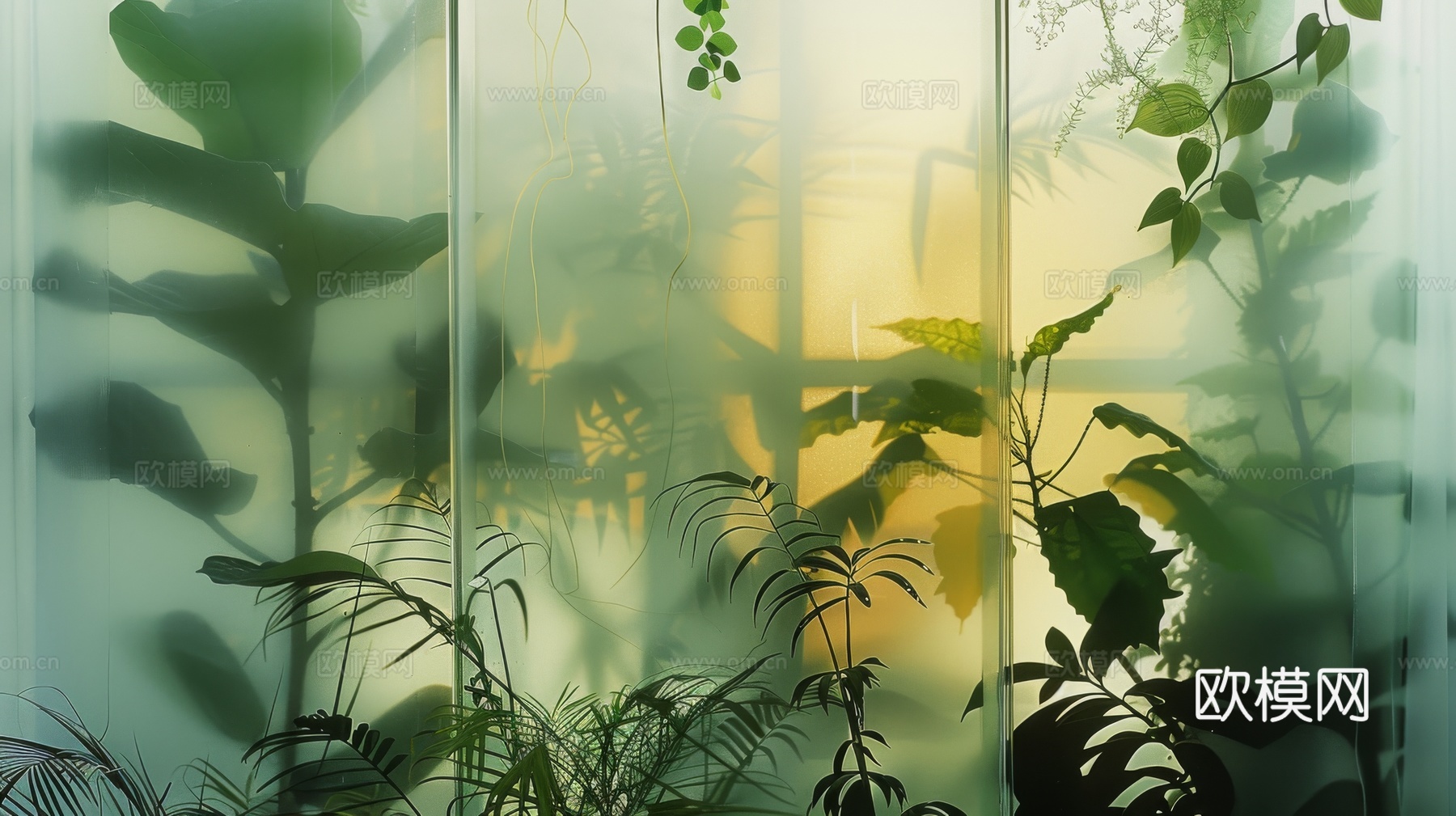 夹丝磨砂玻璃幕墙植物隔断