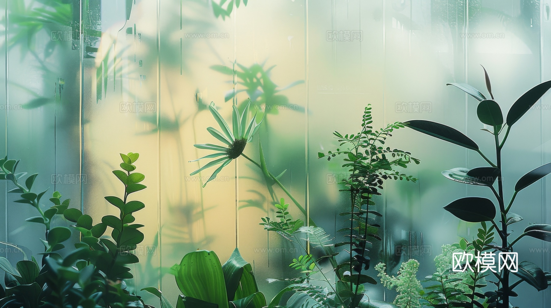 夹丝磨砂玻璃幕墙植物隔断下载（渲染图2）