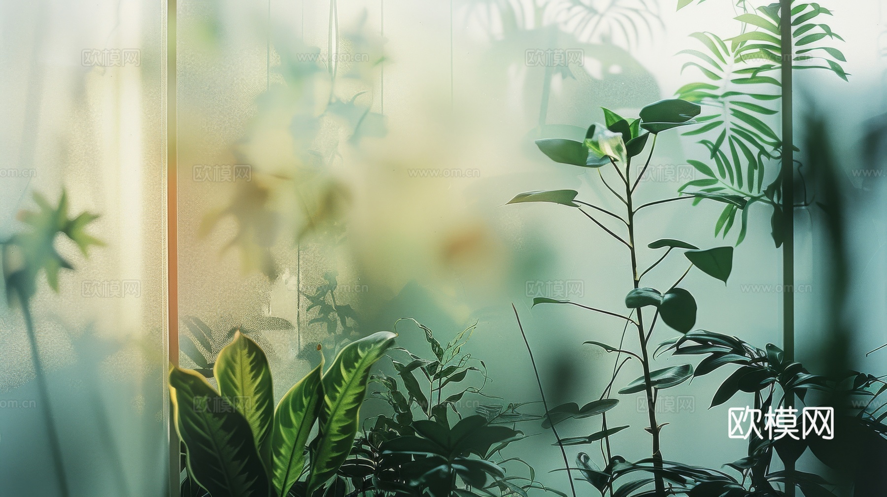 夹丝磨砂玻璃幕墙植物隔断