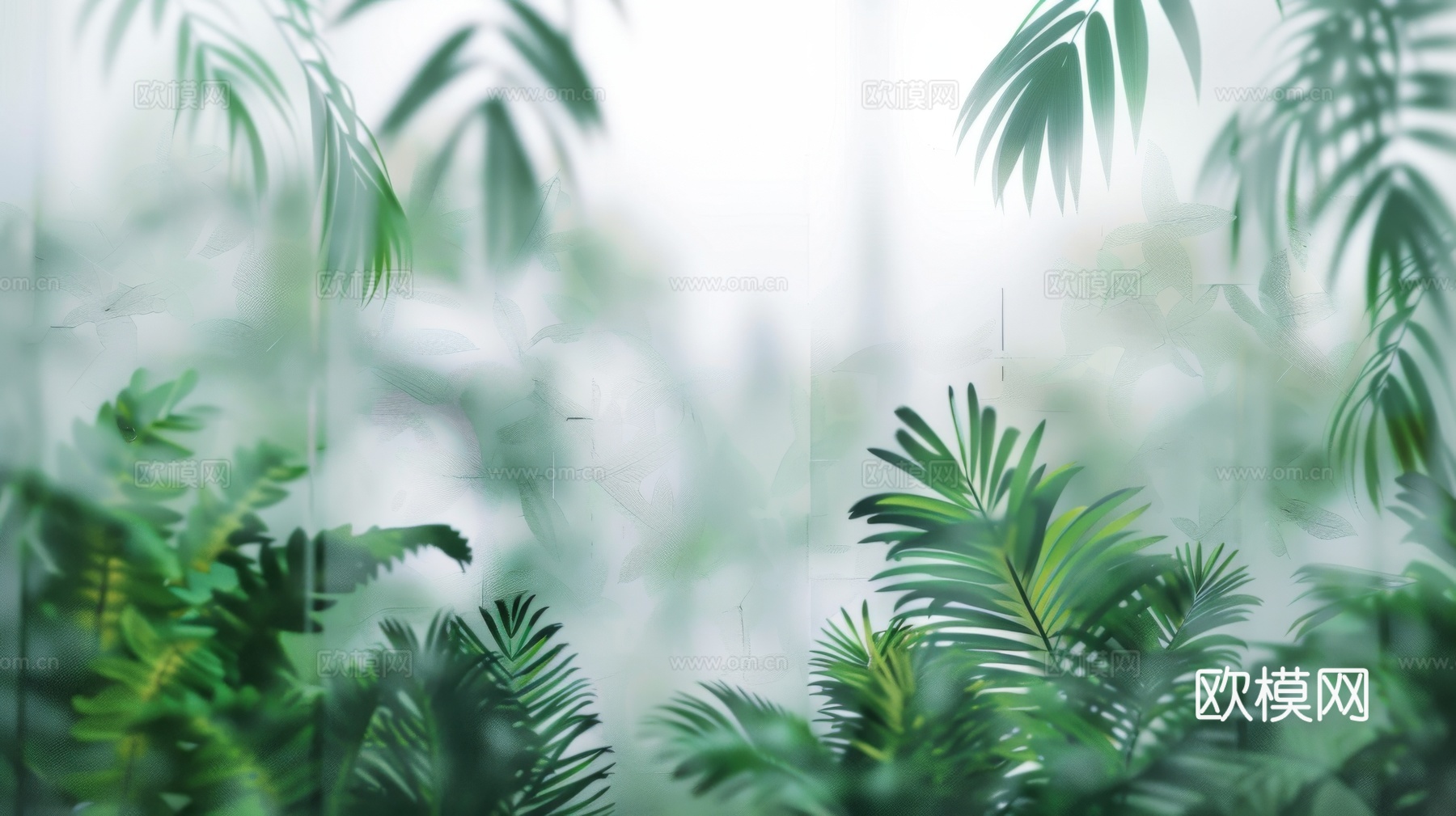 夹丝磨砂玻璃幕墙植物隔断下载（渲染图7）