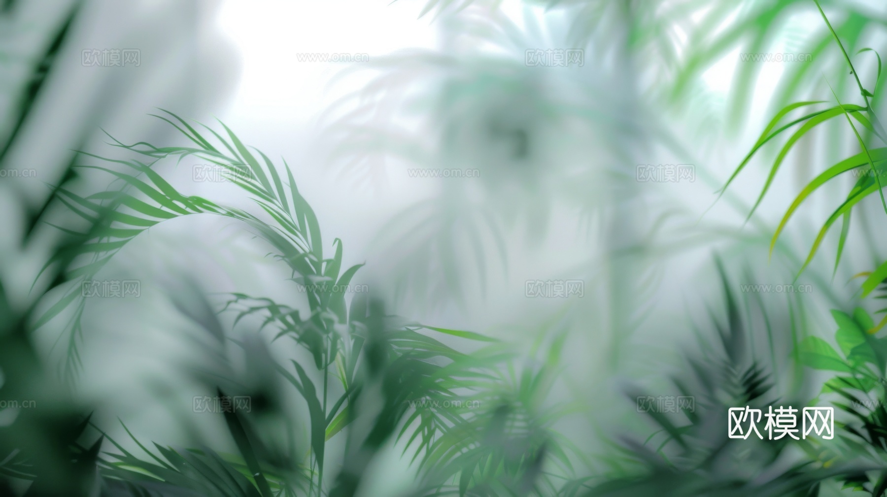 夹丝磨砂玻璃幕墙植物隔断