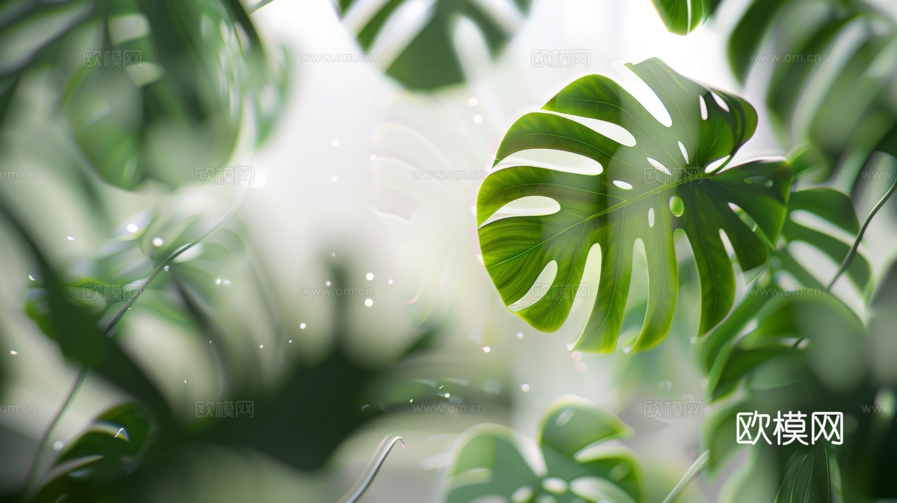 夹丝磨砂玻璃幕墙植物隔断下载（渲染图1）