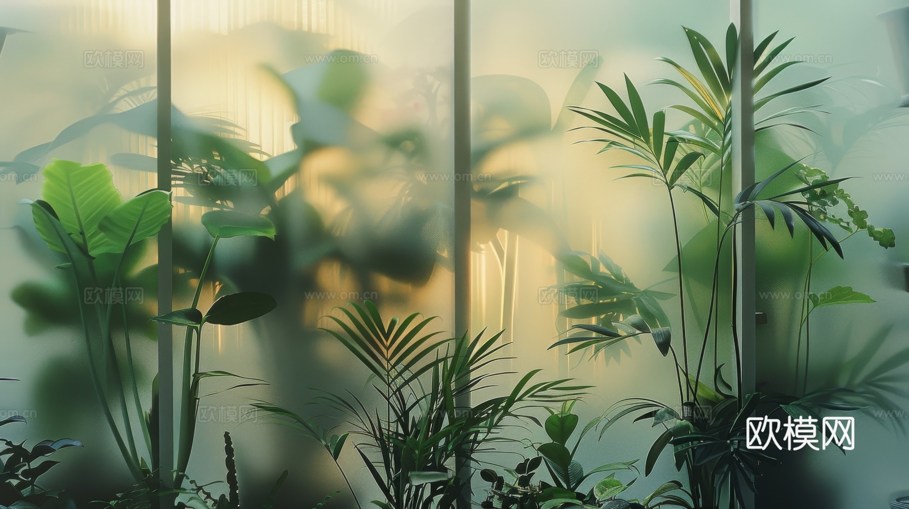 夹丝磨砂玻璃幕墙植物隔断