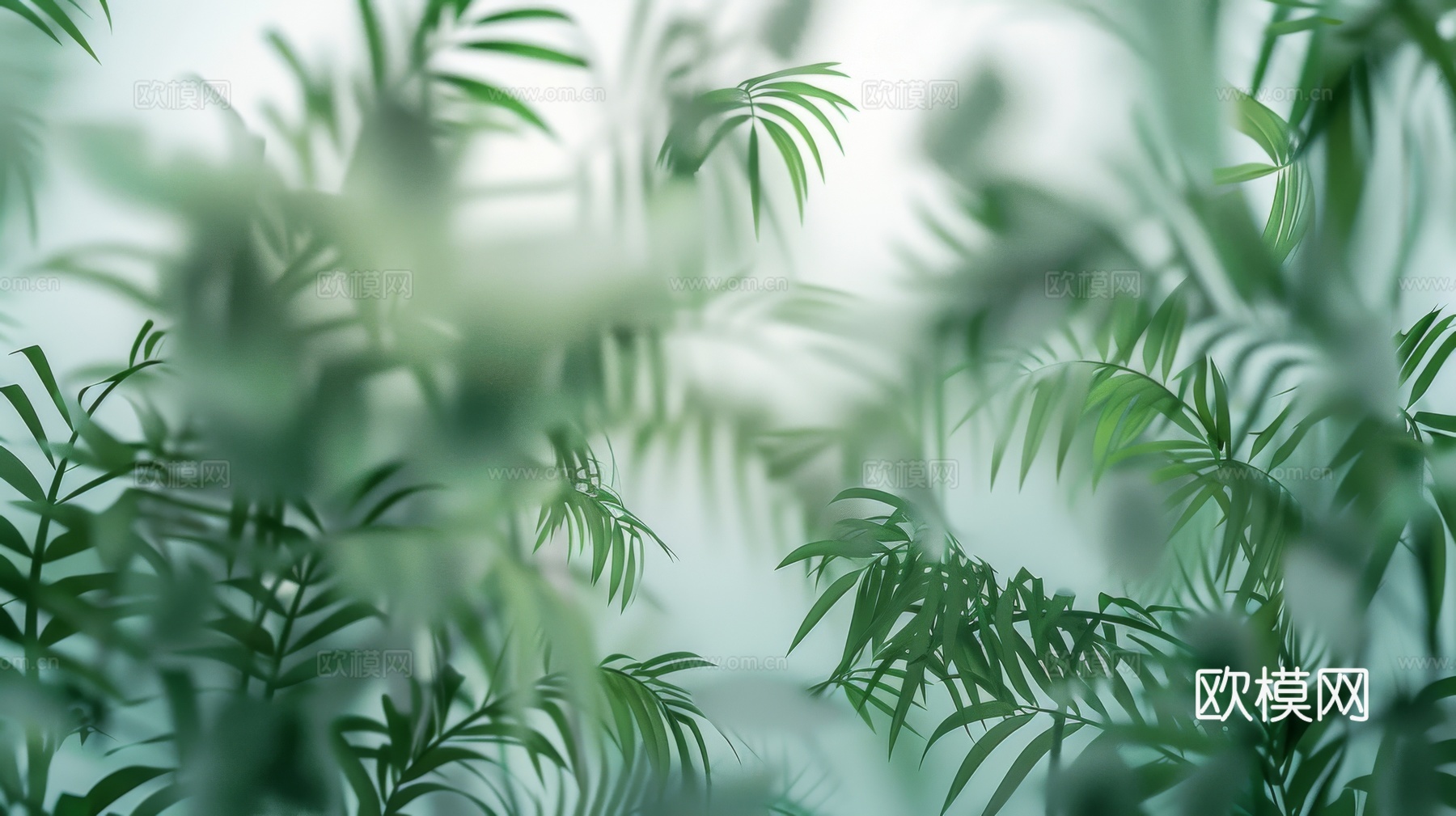 夹丝磨砂玻璃幕墙植物隔断下载（渲染图1）