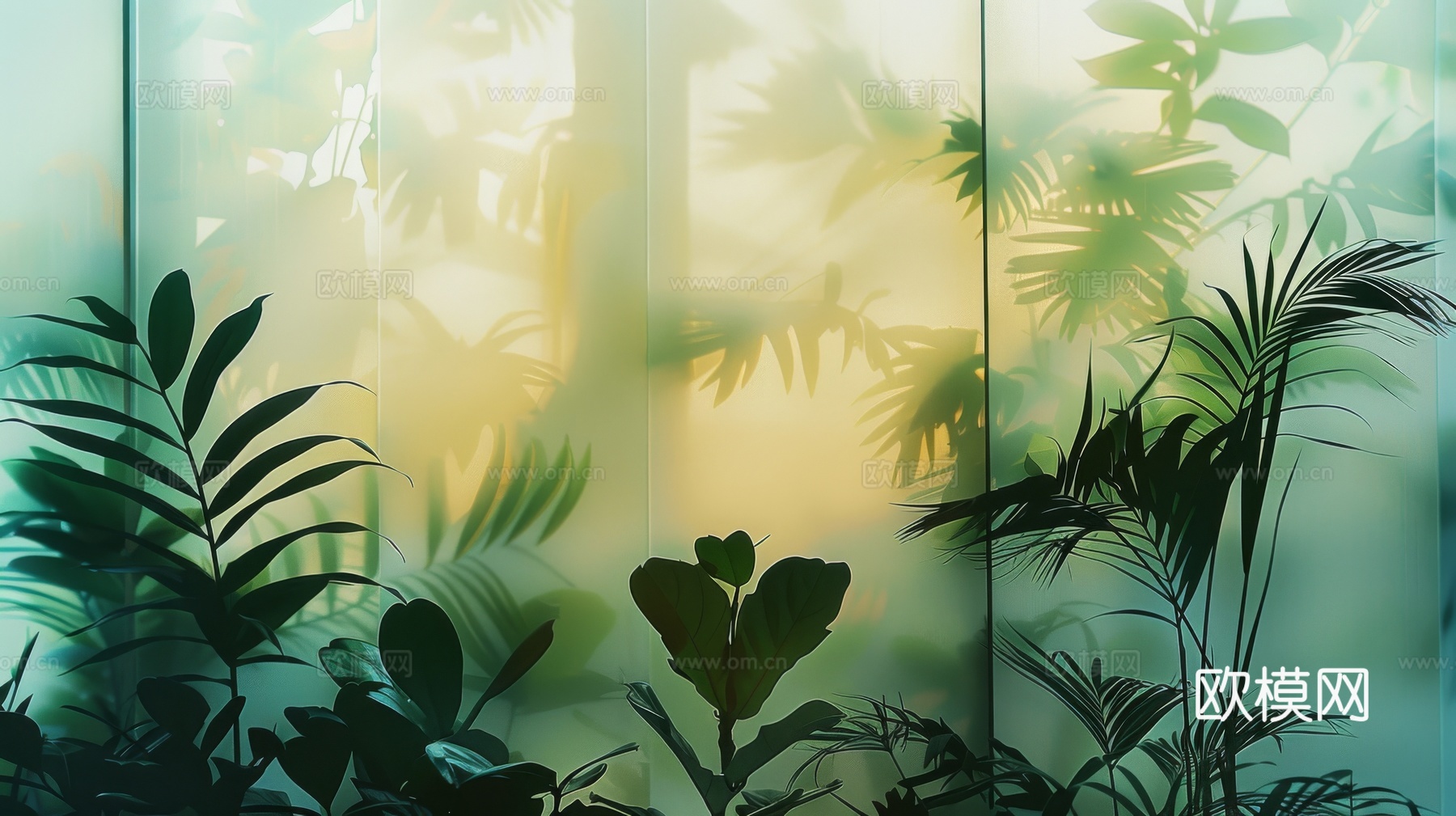 夹丝磨砂玻璃幕墙植物隔断