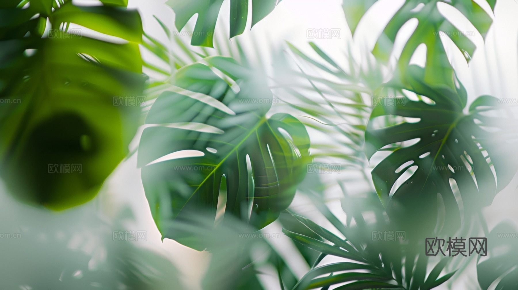 夹丝磨砂玻璃幕墙植物隔断