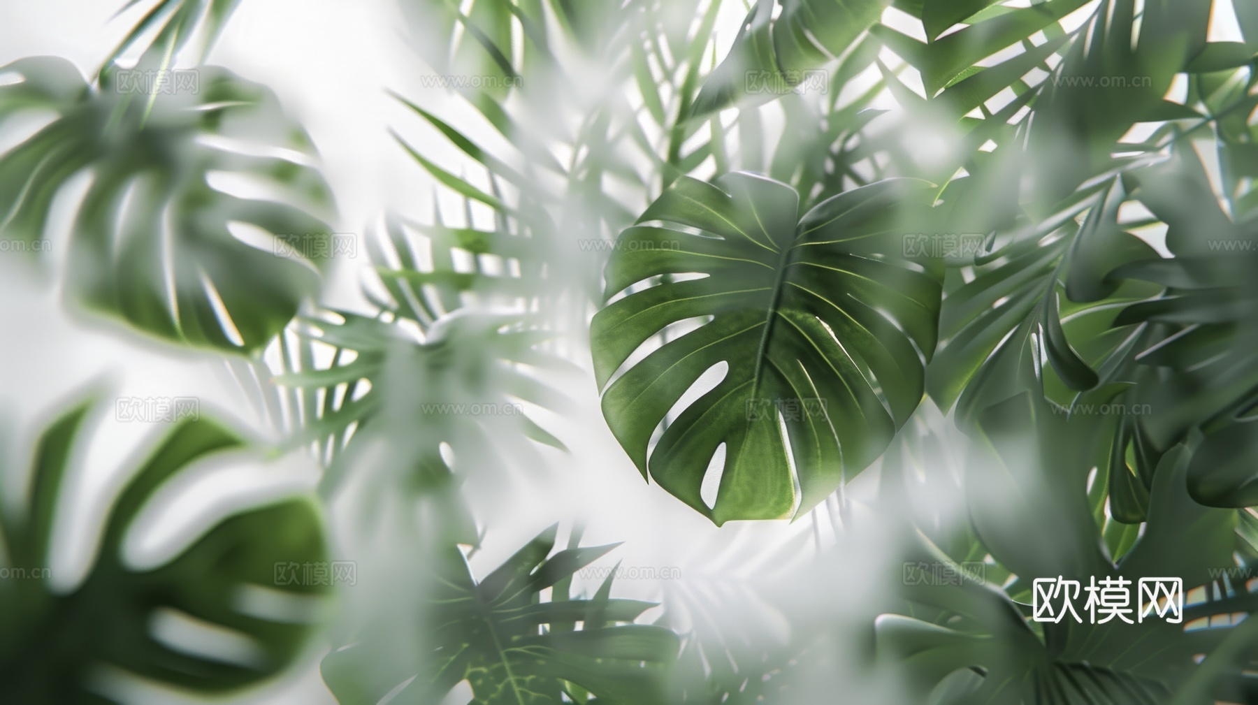 夹丝磨砂玻璃幕墙植物隔断下载（渲染图3）