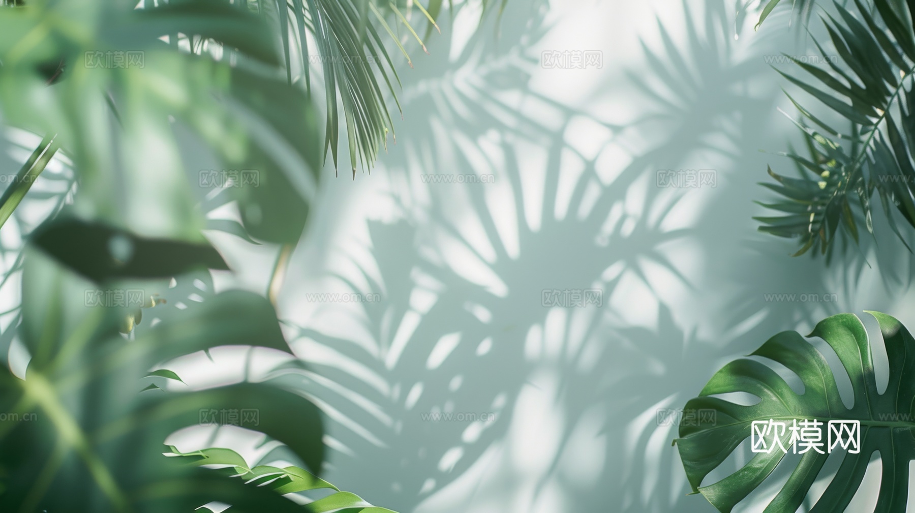 夹丝磨砂玻璃幕墙植物隔断