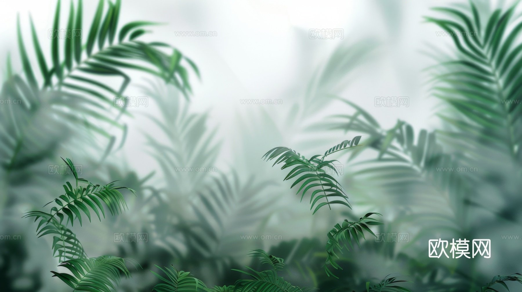 夹丝磨砂玻璃幕墙植物隔断