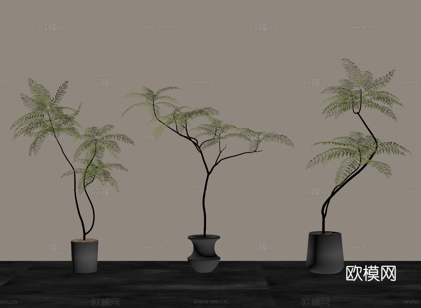 绿植 中古风绿植 盆栽 树su模型