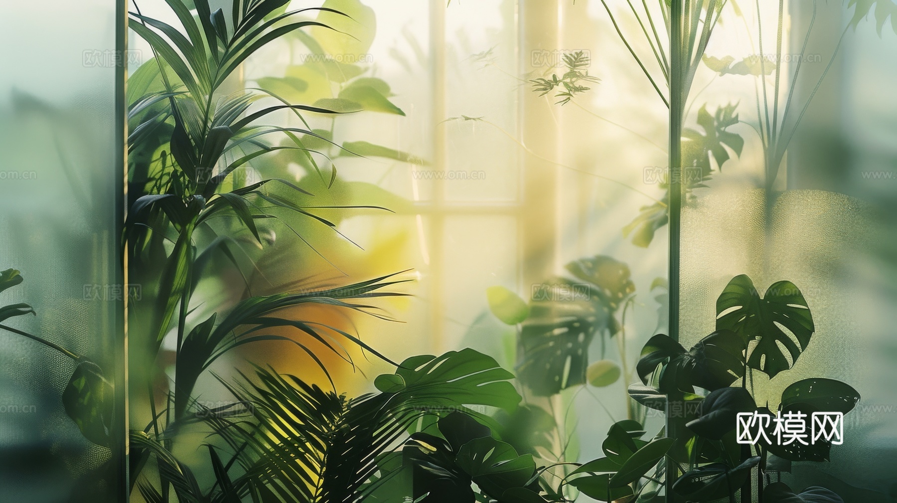 夹丝磨砂玻璃幕墙植物隔断