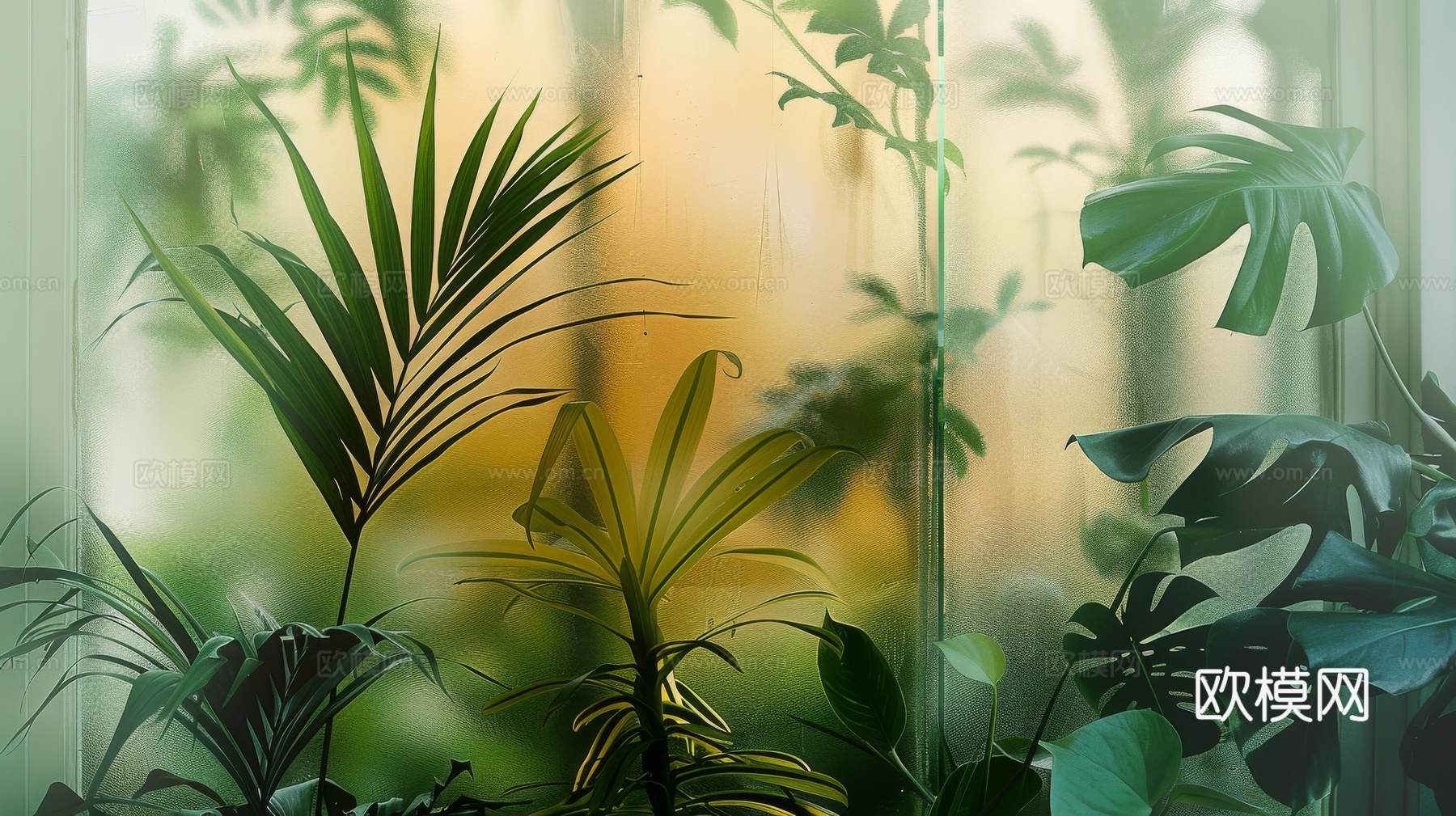 夹丝磨砂玻璃幕墙植物隔断