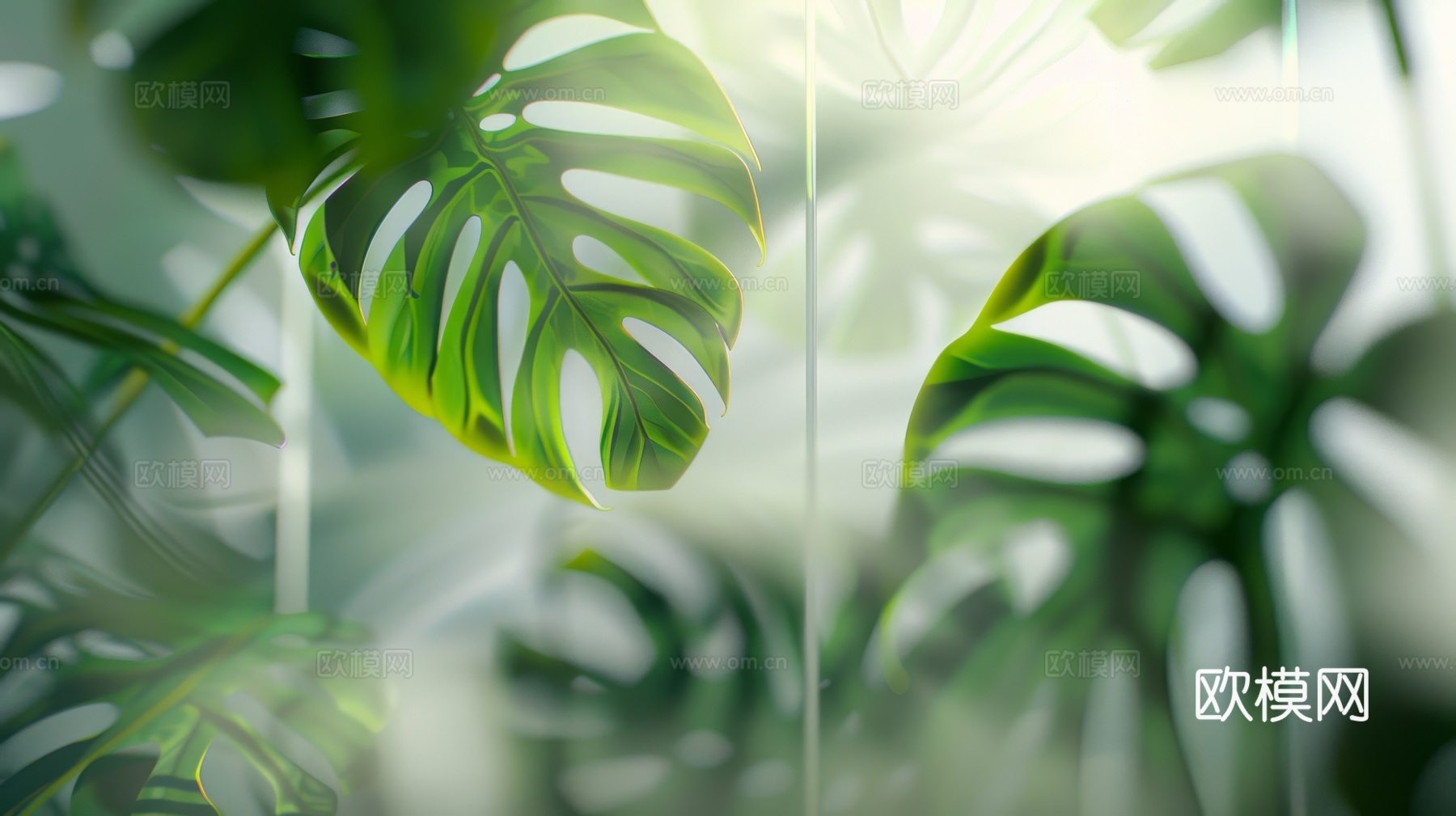 夹丝磨砂玻璃幕墙植物隔断下载（渲染图2）