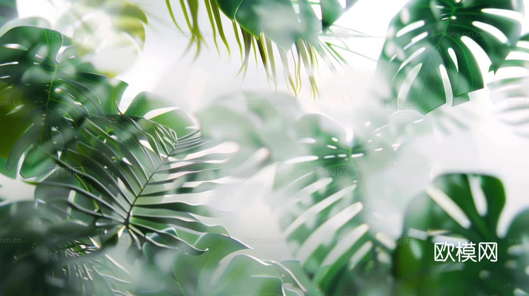 夹丝磨砂玻璃幕墙植物隔断下载（渲染图5）