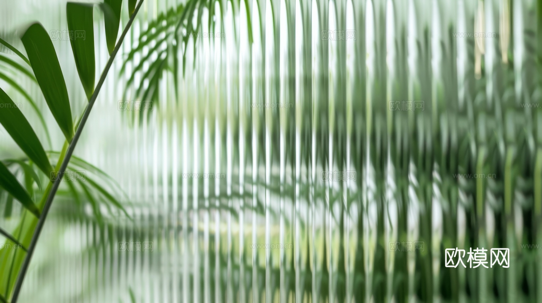 夹丝磨砂玻璃幕墙植物隔断