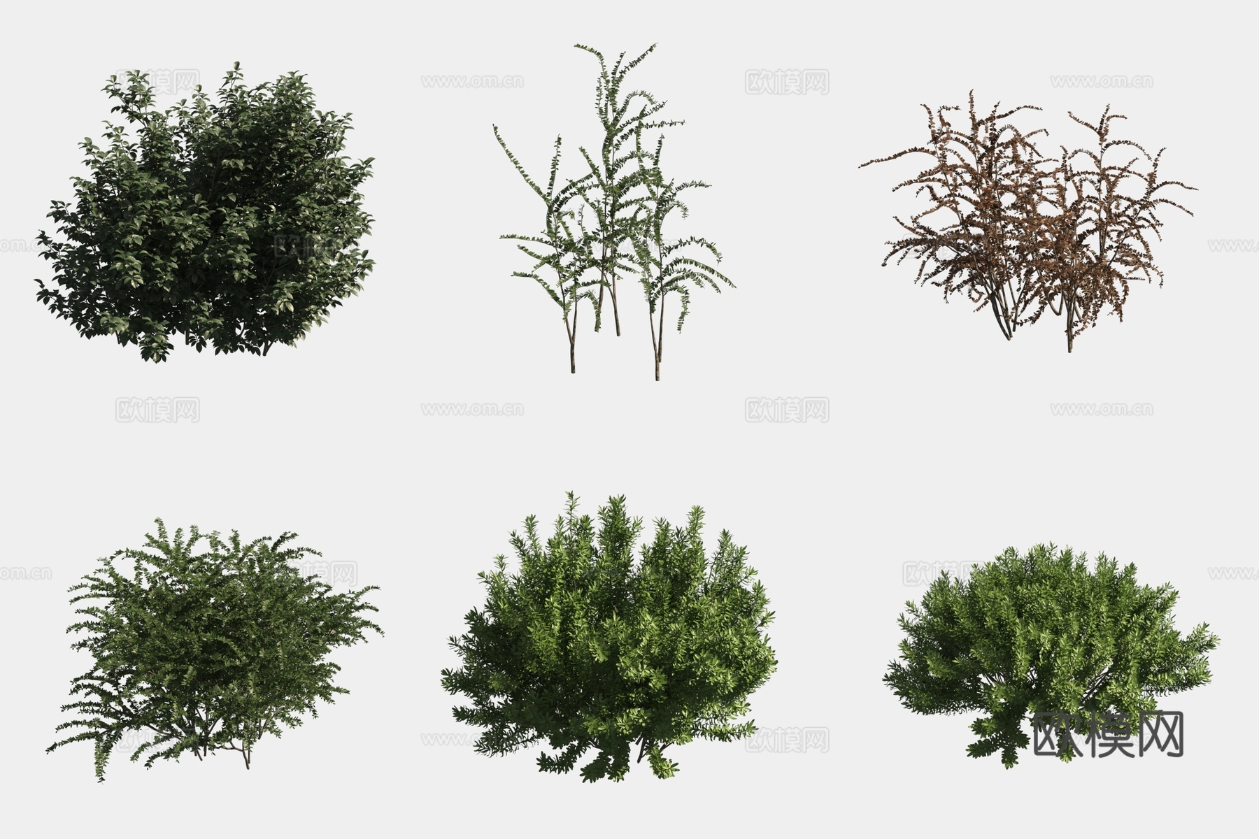 灌木球绿植组合3d模型