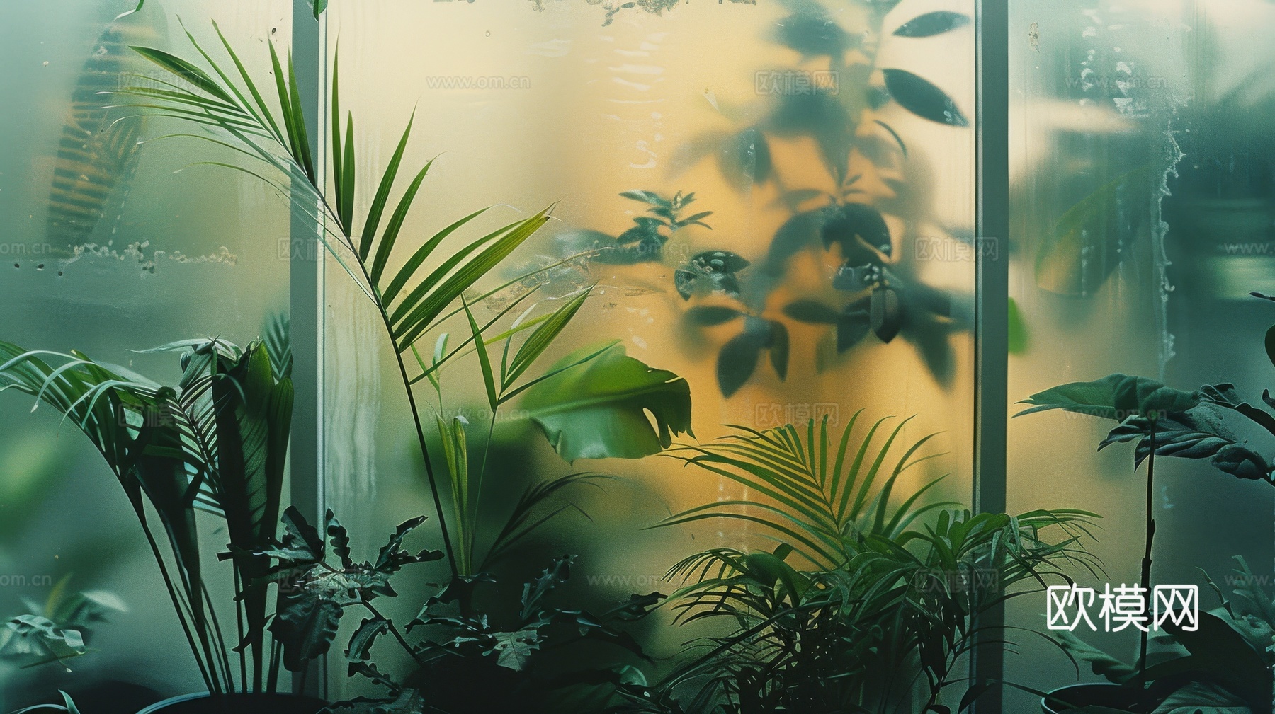 夹丝磨砂玻璃幕墙植物隔断下载（渲染图3）