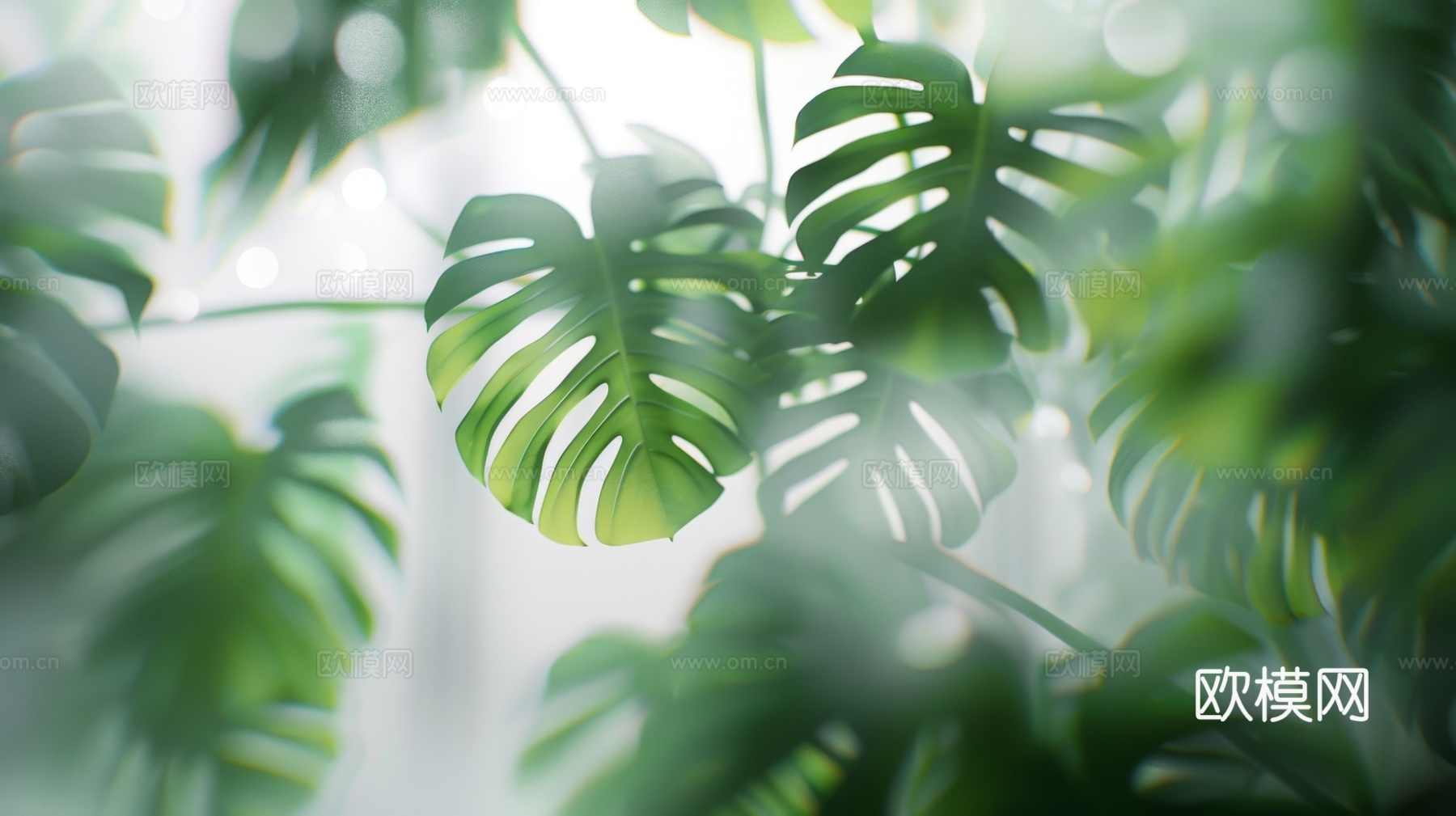 夹丝磨砂玻璃幕墙植物隔断下载（渲染图7）