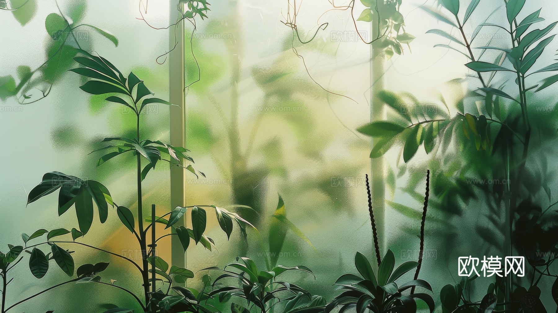 夹丝磨砂玻璃幕墙植物隔断
