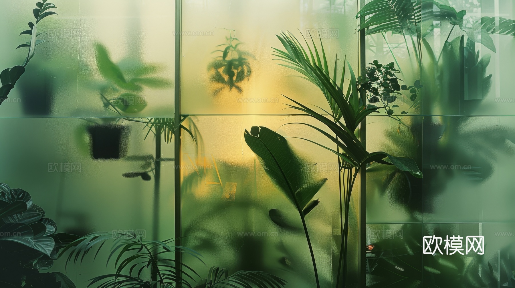 夹丝磨砂玻璃幕墙植物隔断