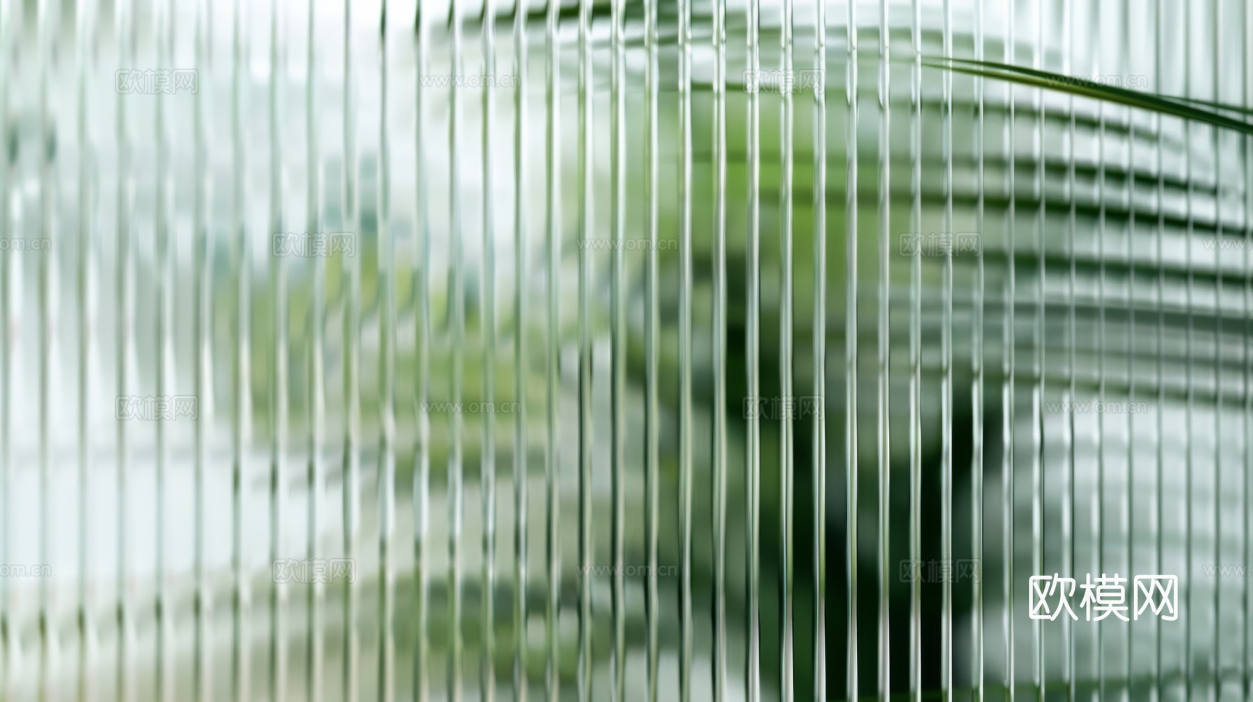 夹丝磨砂玻璃幕墙植物隔断下载（渲染图6）