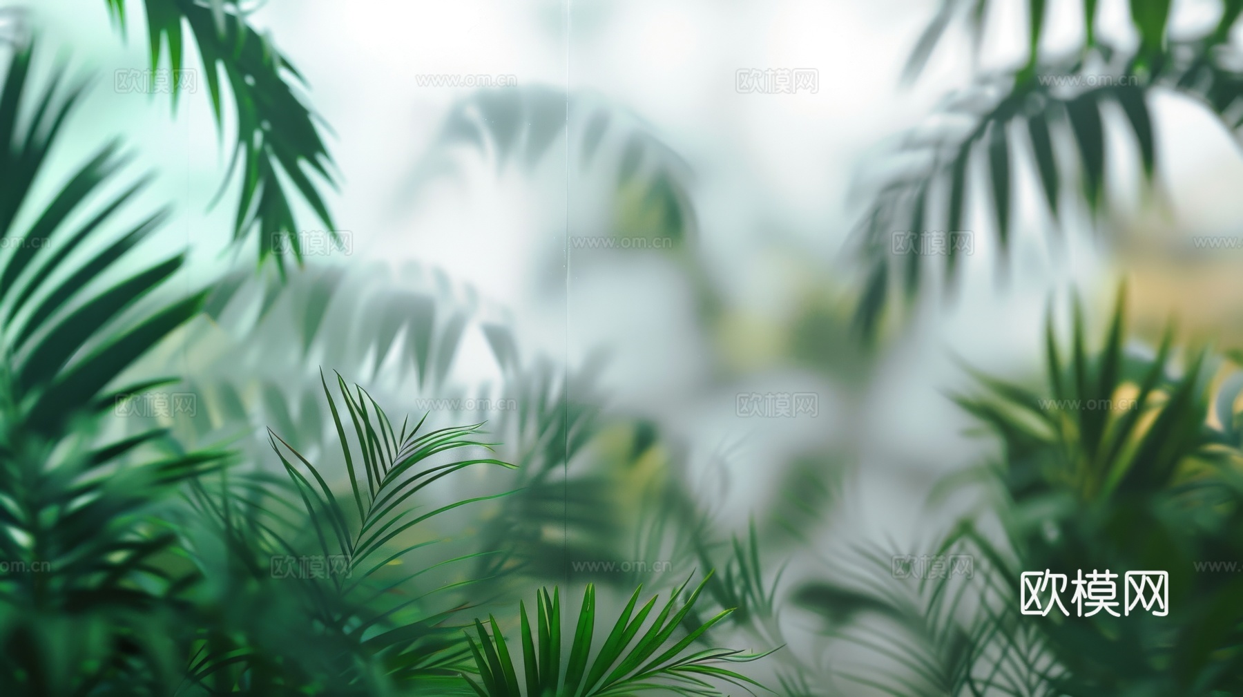 夹丝磨砂玻璃幕墙植物隔断