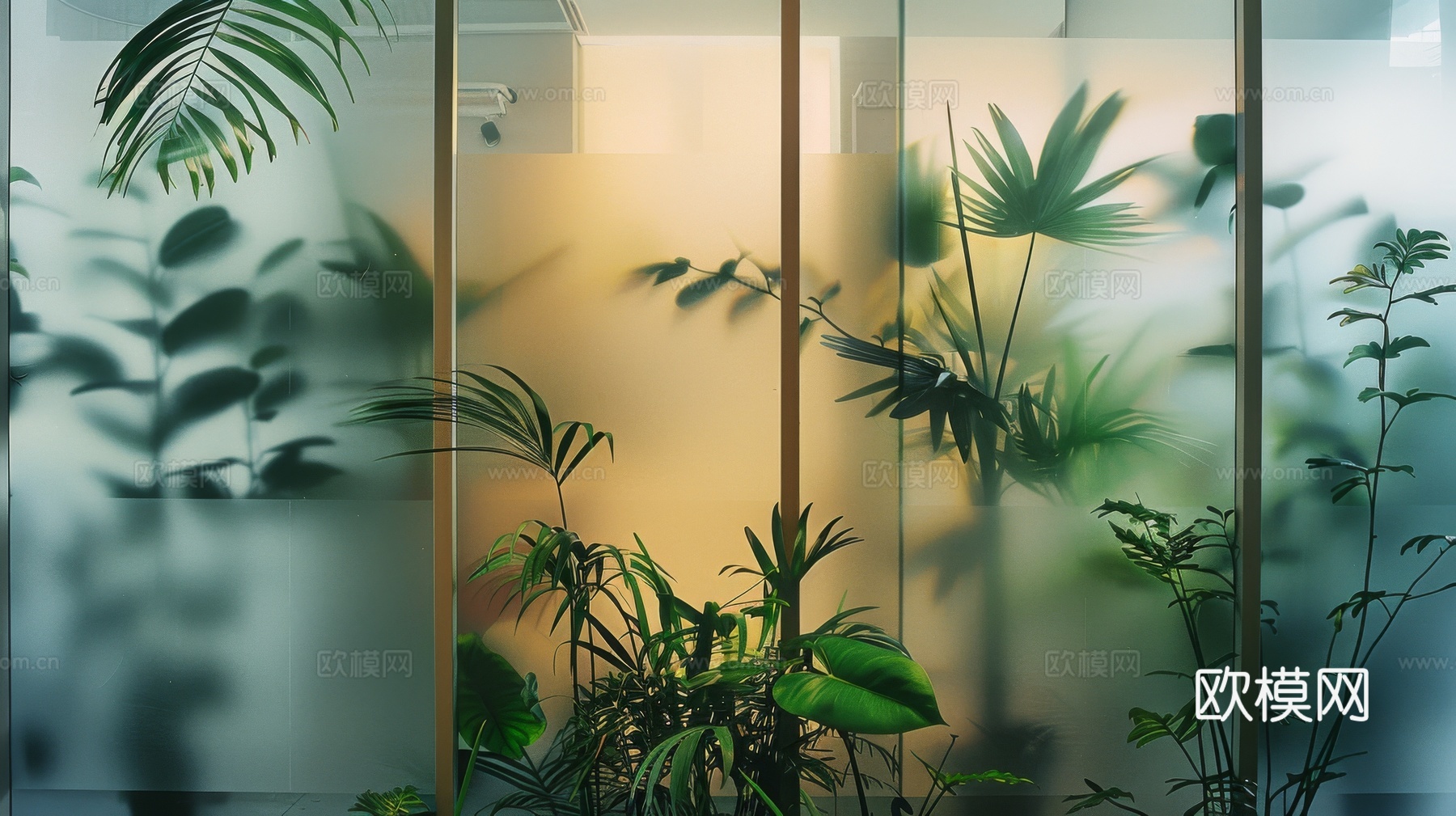 夹丝磨砂玻璃幕墙植物隔断