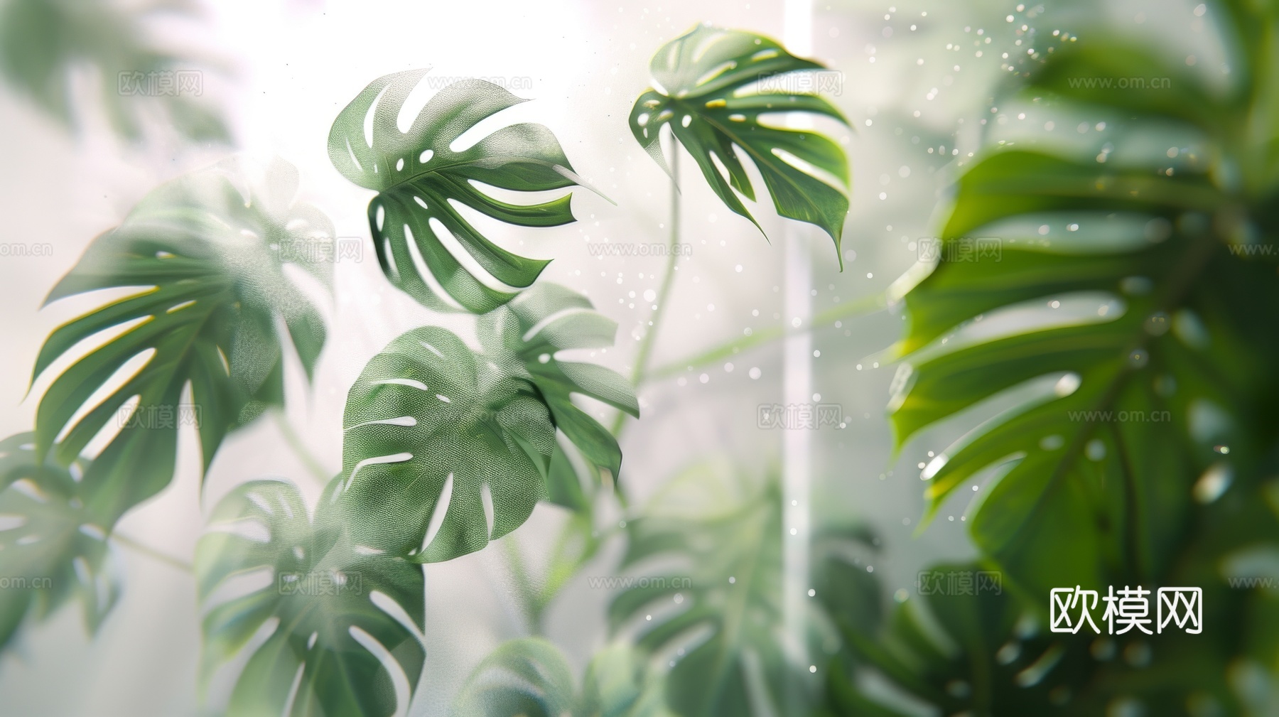 夹丝磨砂玻璃幕墙植物隔断下载（渲染图3）