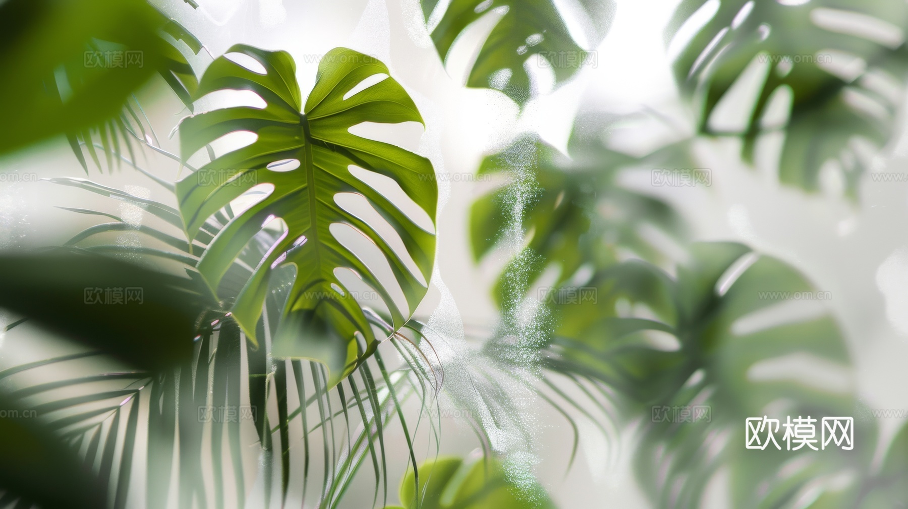 夹丝磨砂玻璃幕墙植物隔断