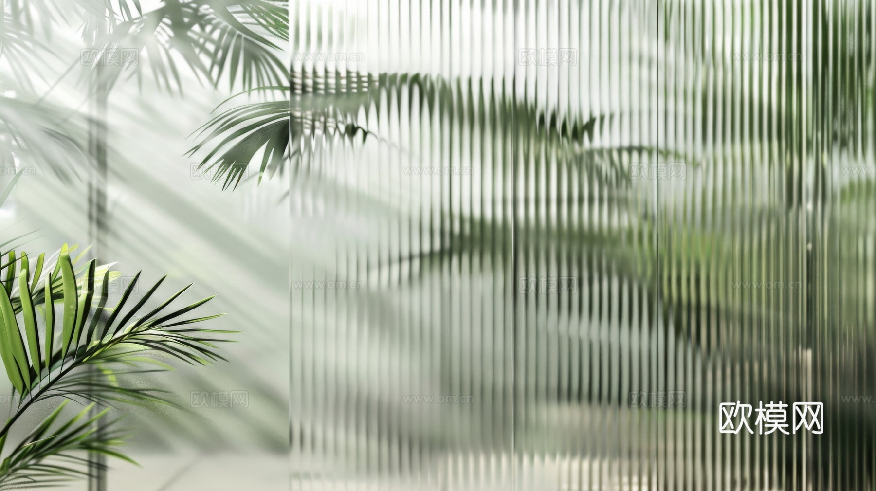 夹丝磨砂玻璃幕墙植物隔断下载（渲染图4）