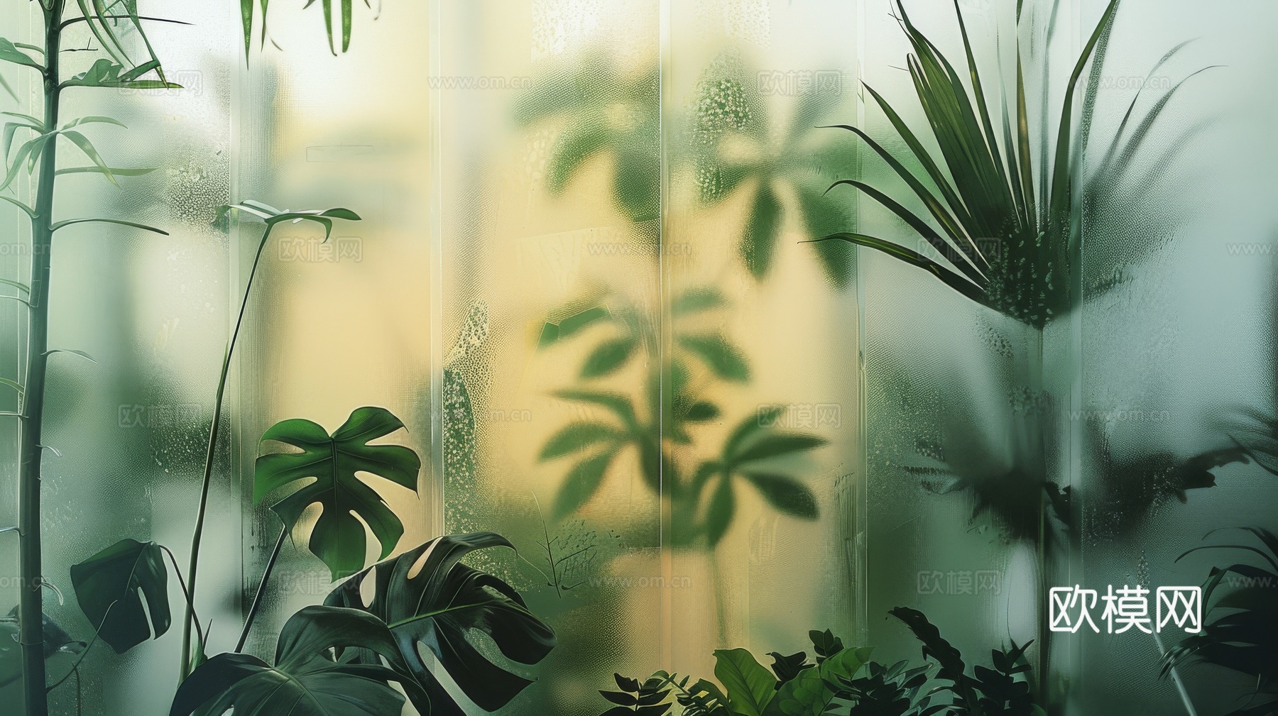 夹丝磨砂玻璃幕墙植物隔断