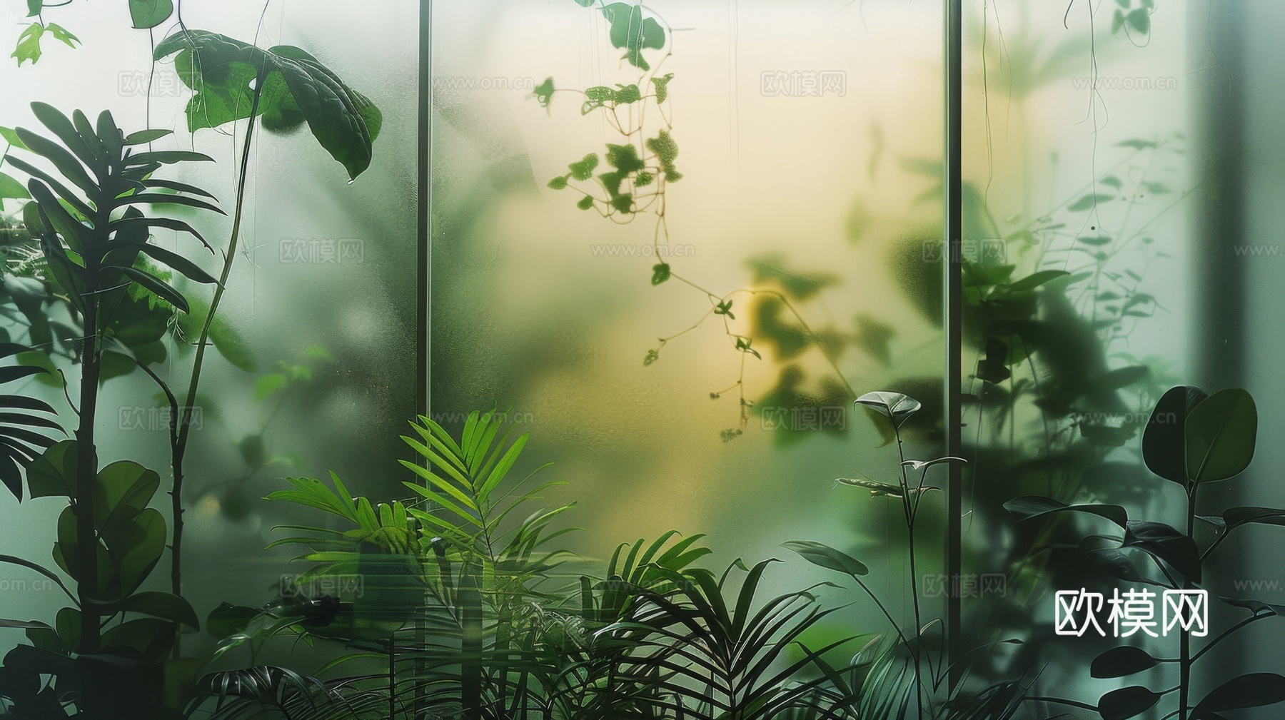 夹丝磨砂玻璃幕墙植物隔断