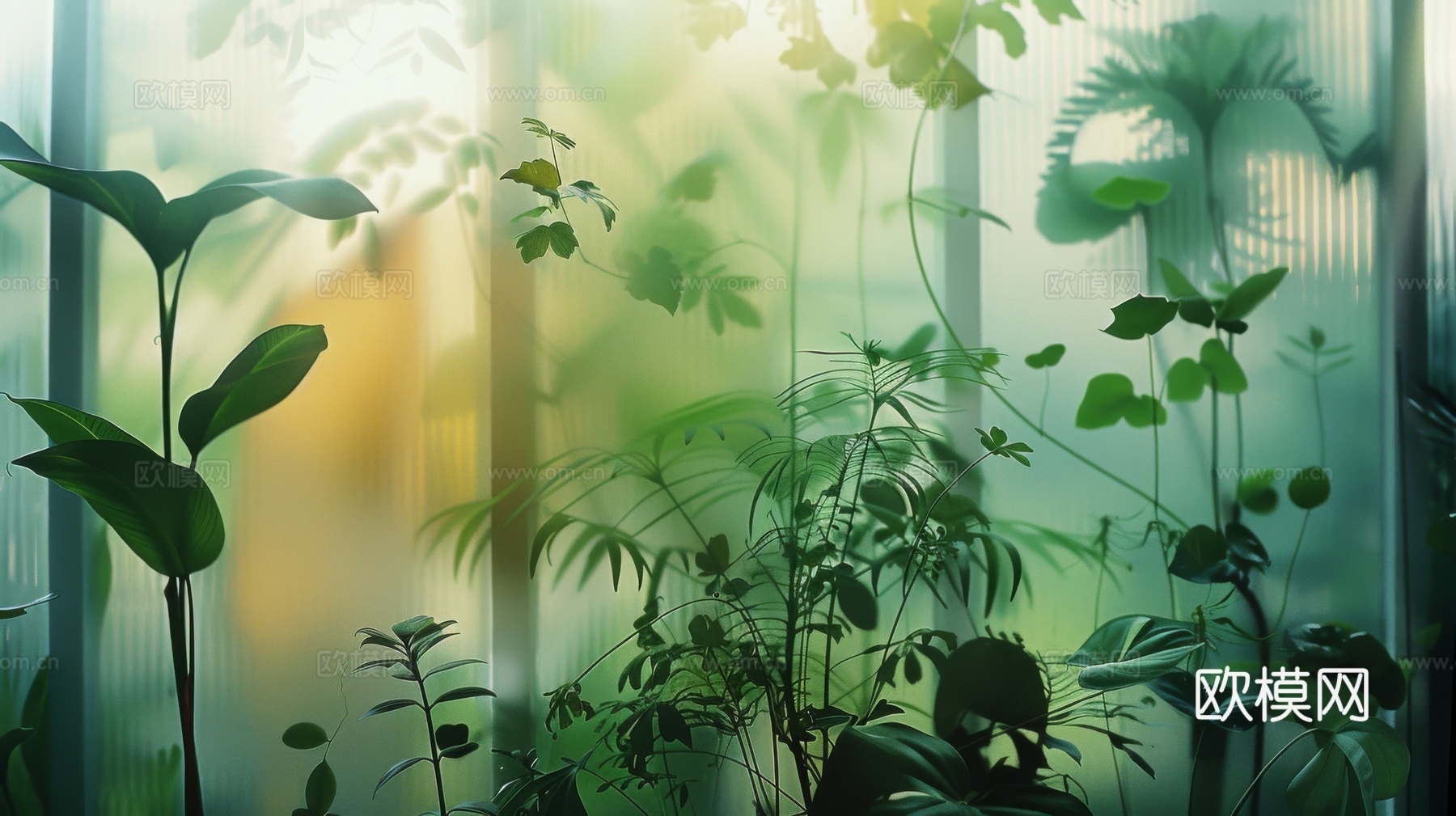 夹丝磨砂玻璃幕墙植物隔断