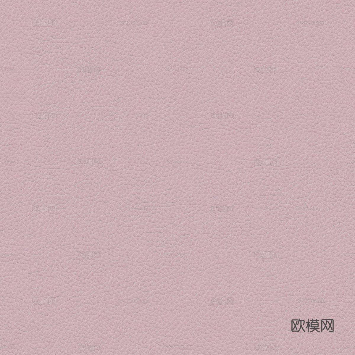 粉色皮革 哑光皮革