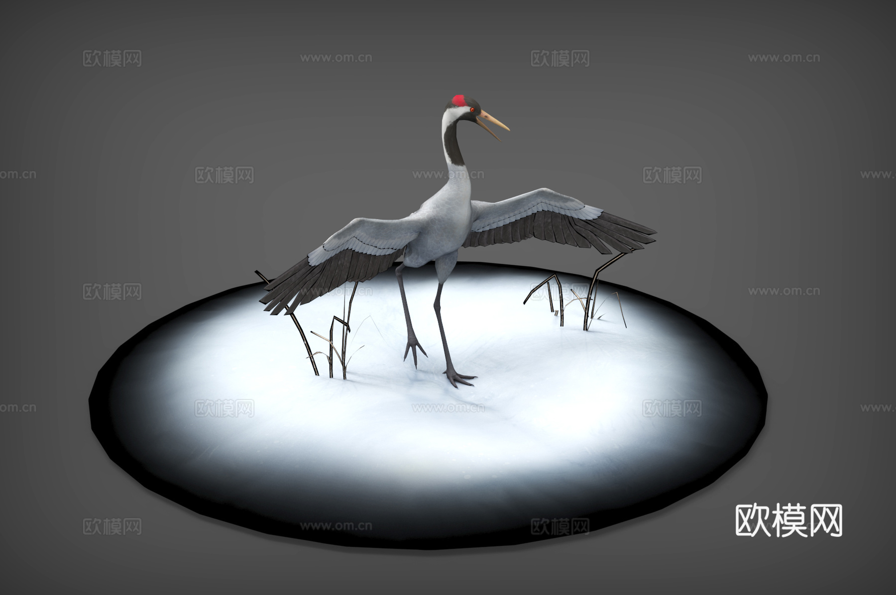 鹤 仙鹤  飞鸟  丹顶鹤3d模型