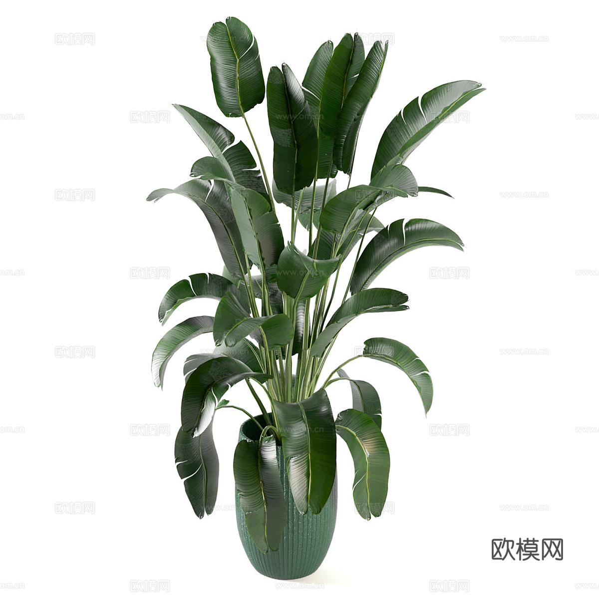 新中式绿植盆栽3d模型