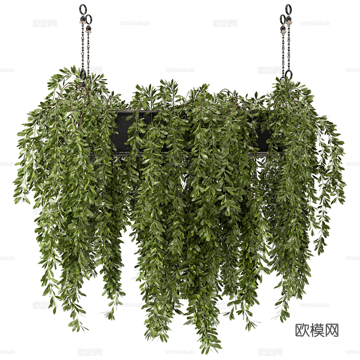 现代悬挂绿植 吊兰3d模型