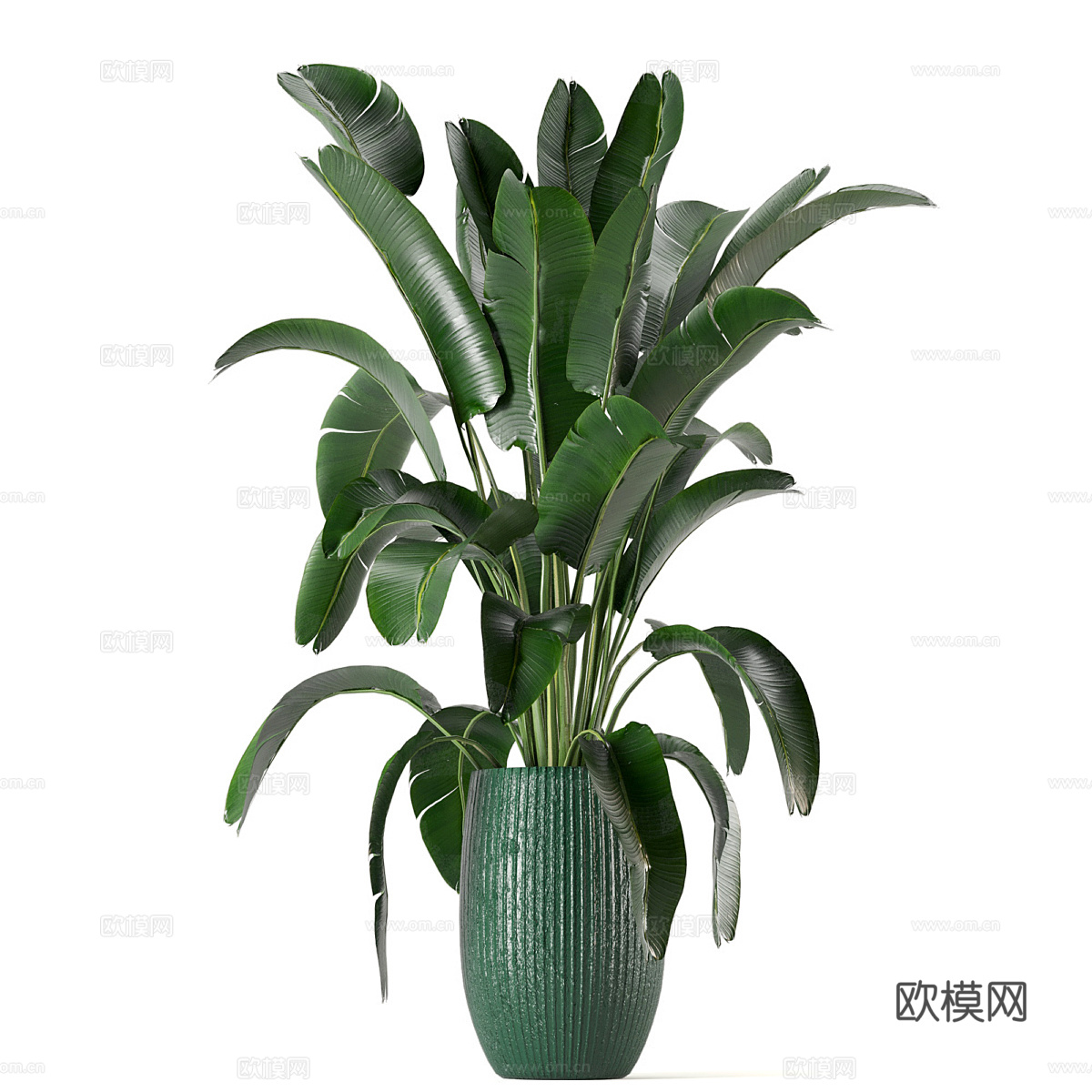新中式绿植盆栽3d模型