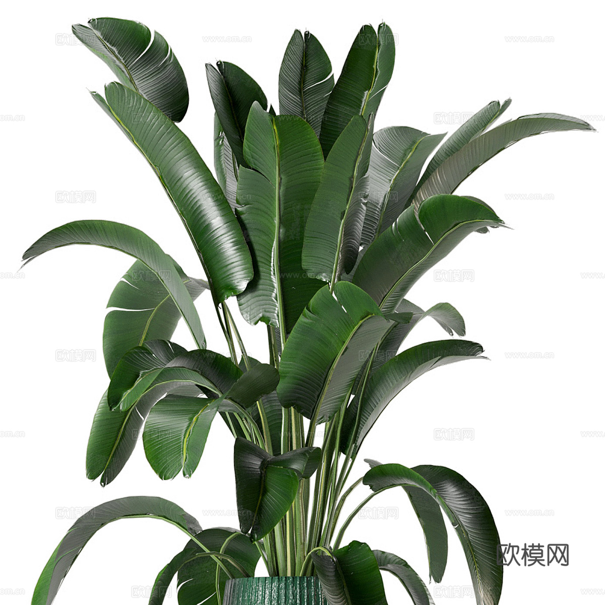 新中式绿植盆栽3d模型